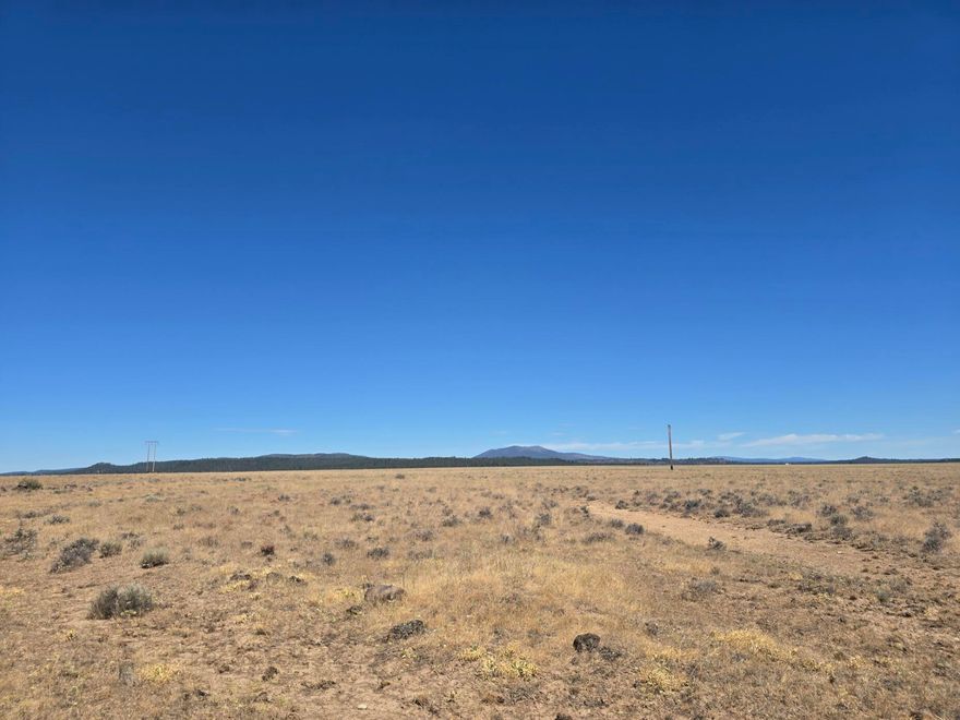 Discover the perfect piece of land with this expansive 40-acre parcel located in scenic Klamath County, known for its picturesque landscapes and outdoor activities. This level terrain offers endless possibilities, whether you're looking to build your dream home, start a farm, or invest in future development.