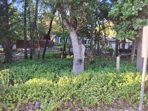 Tiny photo for 1275 4th Avenue #4504, Gold Hill, OR 97525 (MLS # 220224345)