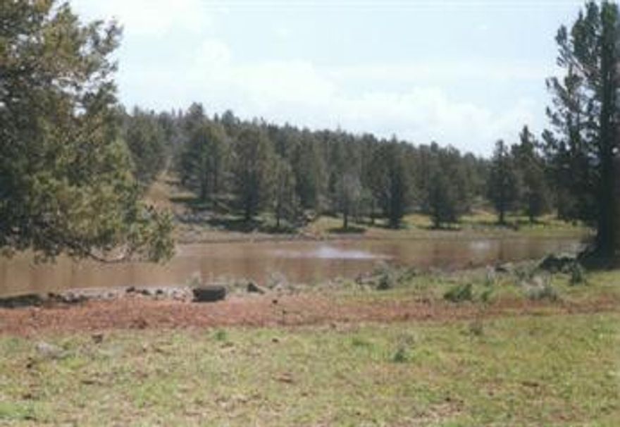 This Large Parcel Is Very Scenic, , Multiple Choice In Home Site, Has Large Pond, Lots Of Spring Grazing. Private But Not Remote. May Require C.U.P. To Build. Subject To Final Partition, More Land Available.