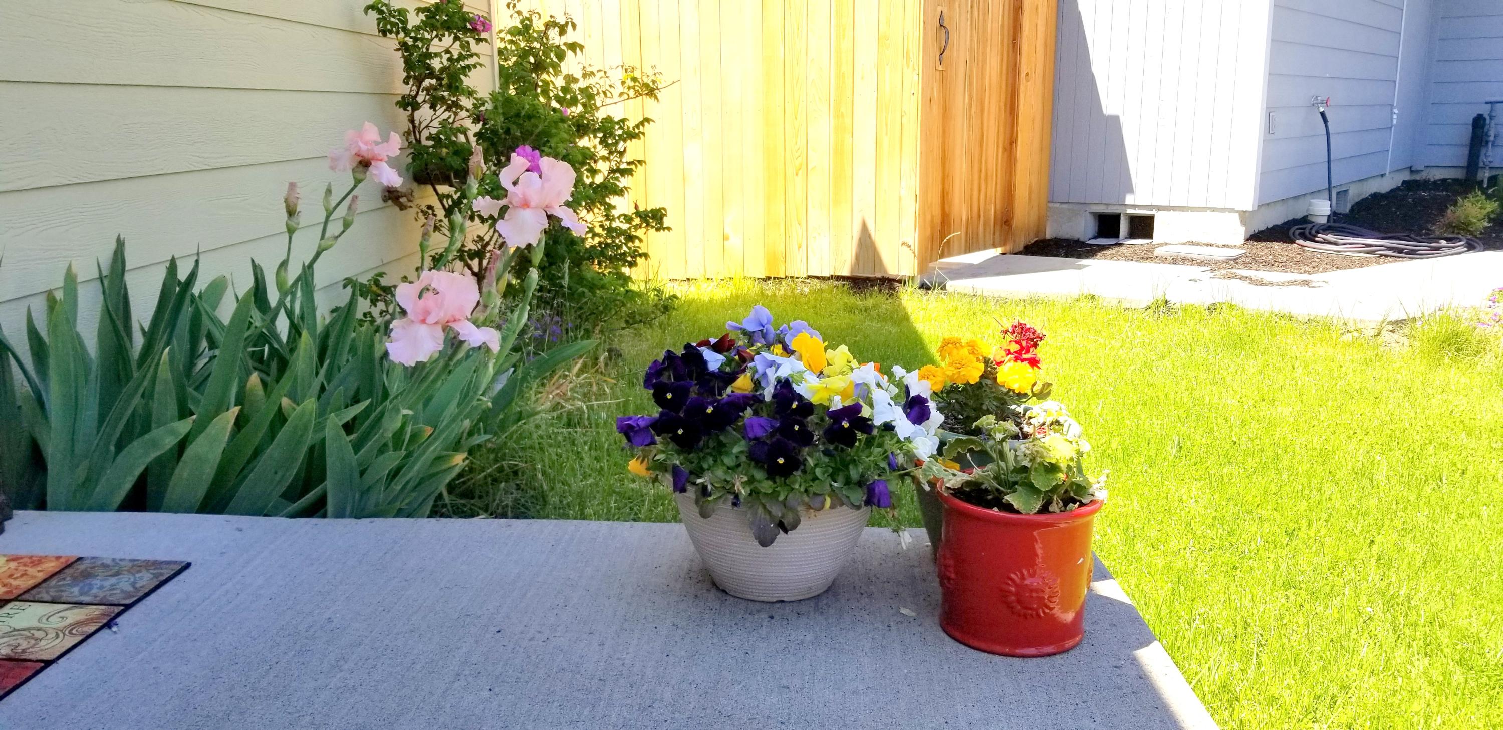 Ivy Creek Est - Residential Income