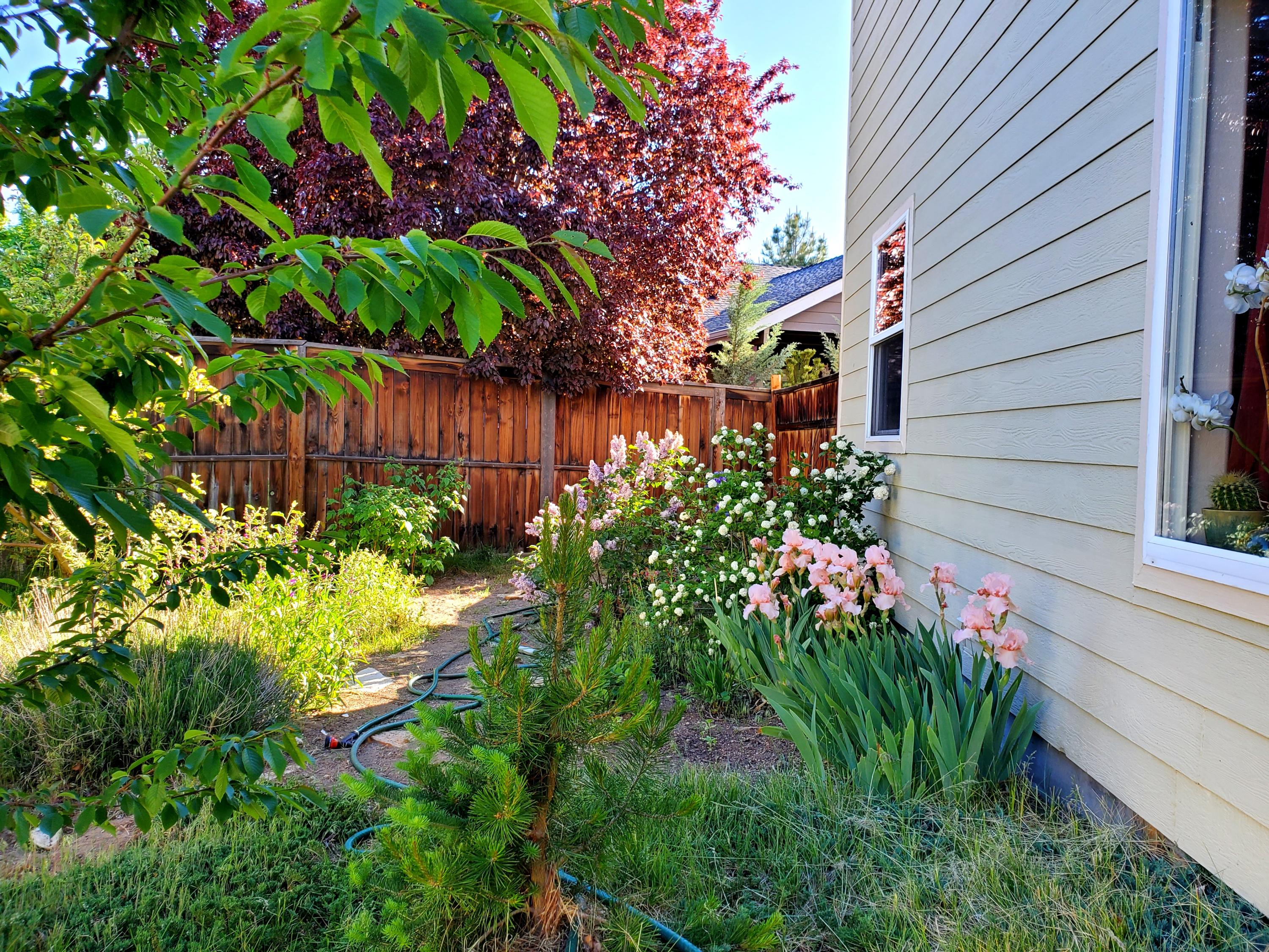 Ivy Creek Est - Residential Income