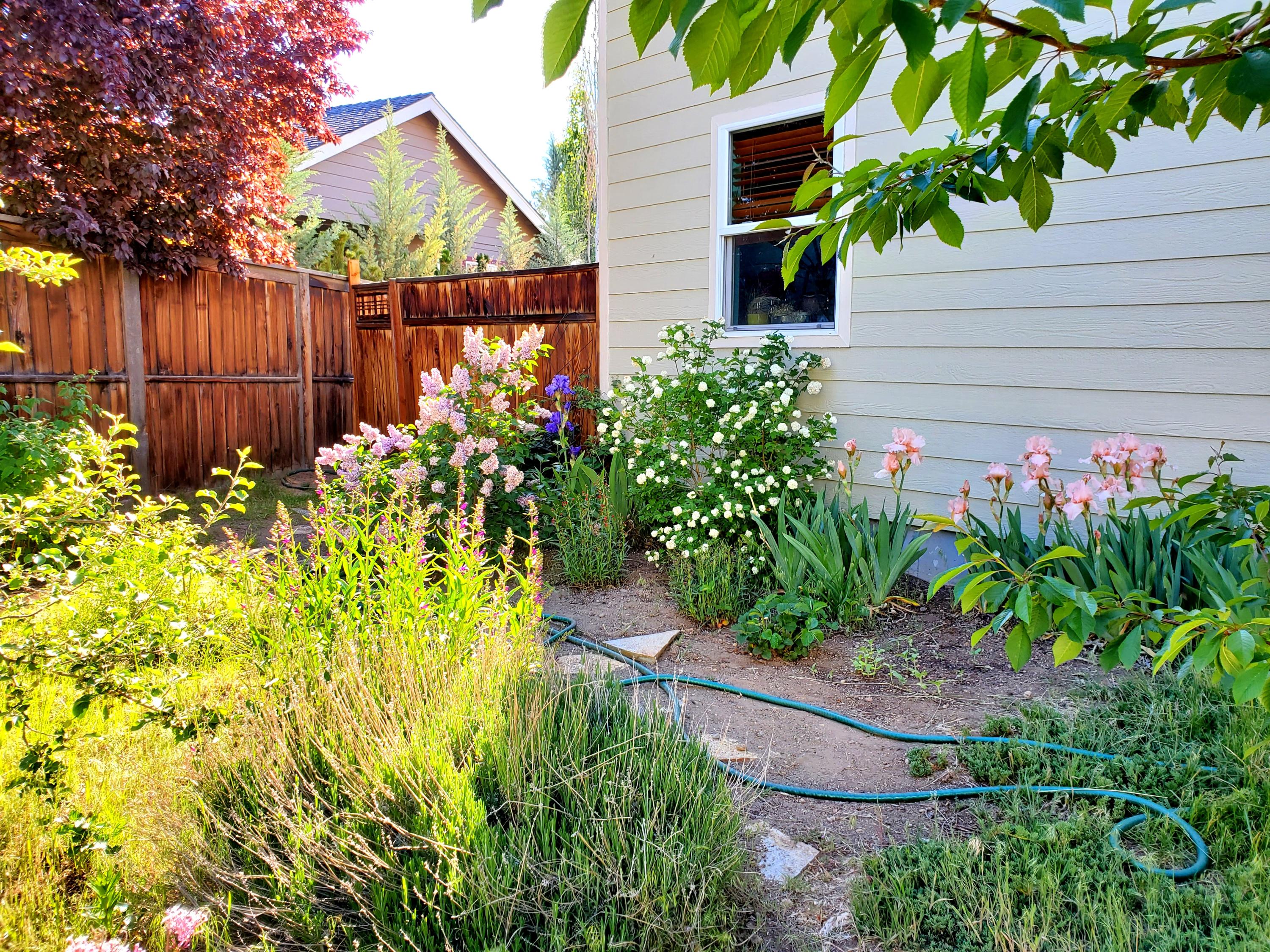 Ivy Creek Est - Residential Income