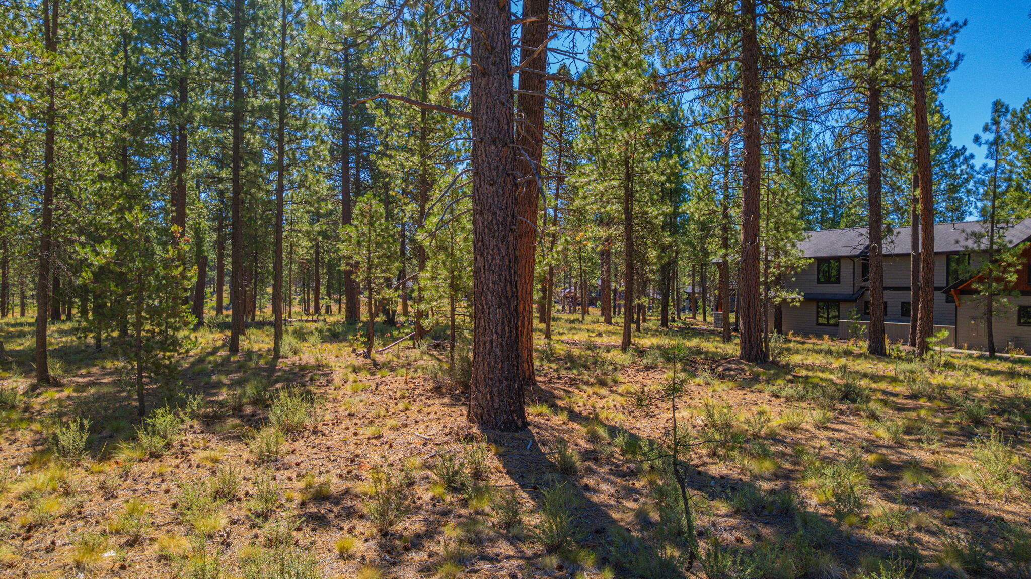 Caldera Springs - Land