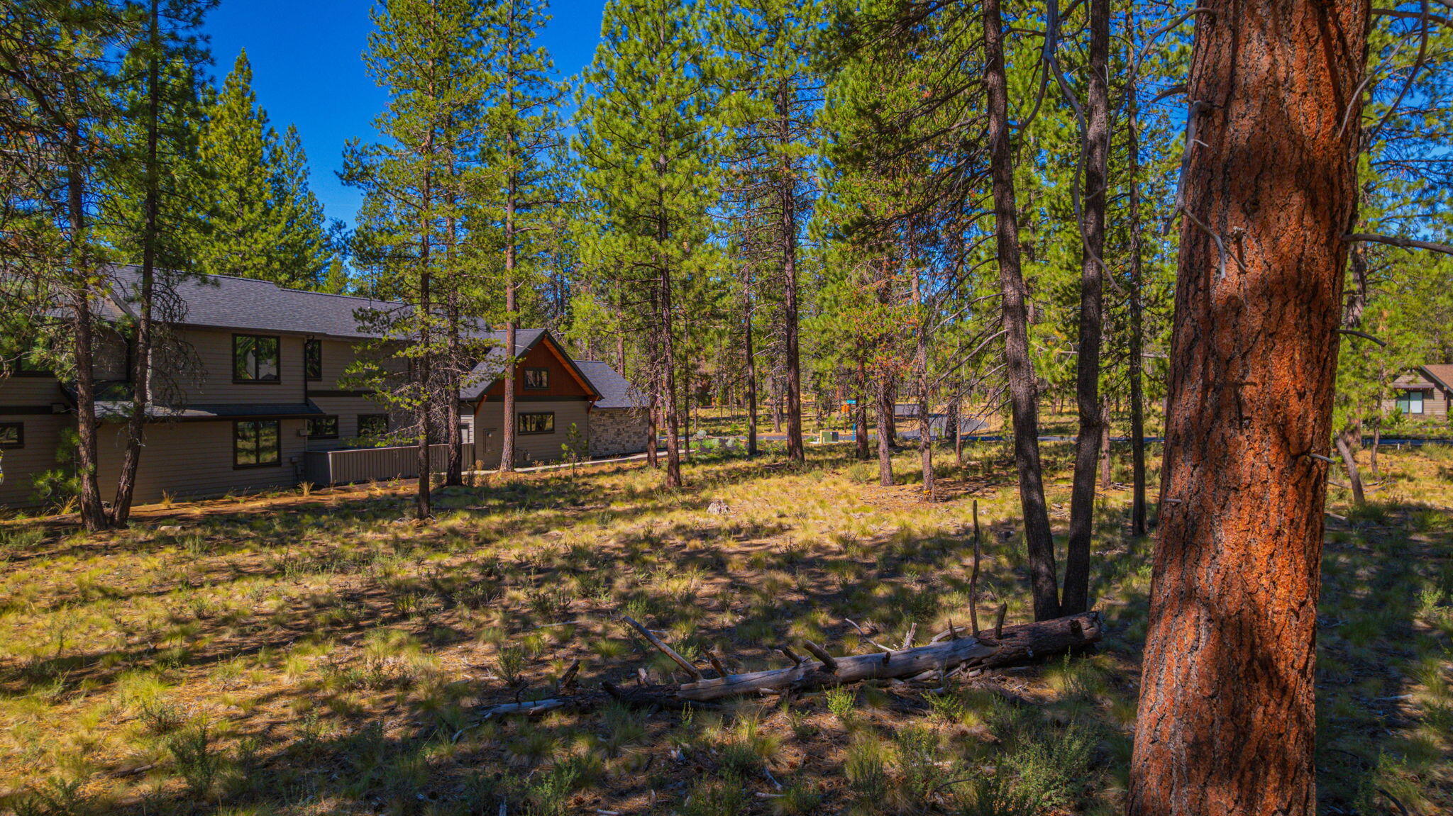 Caldera Springs - Land