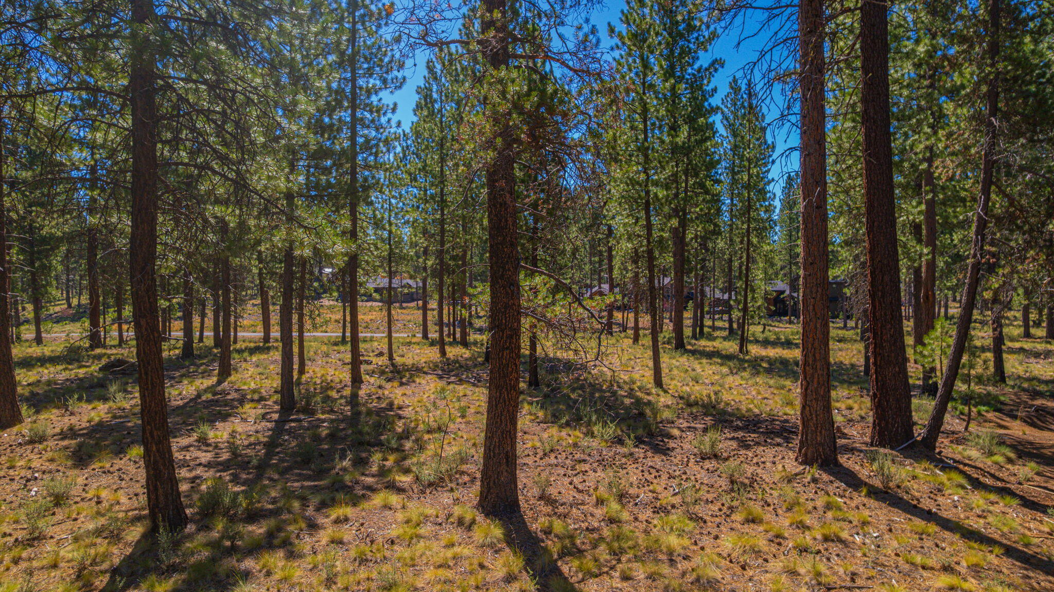 Caldera Springs - Land