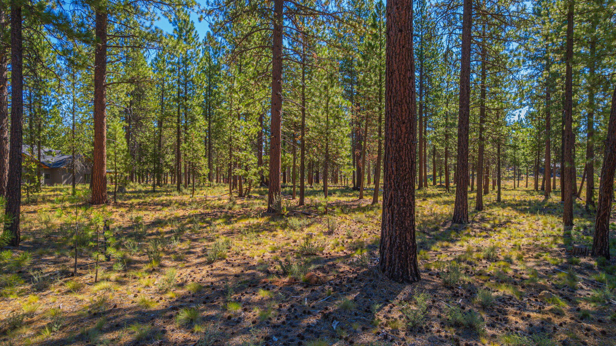 56277 Elk Run Drive 393