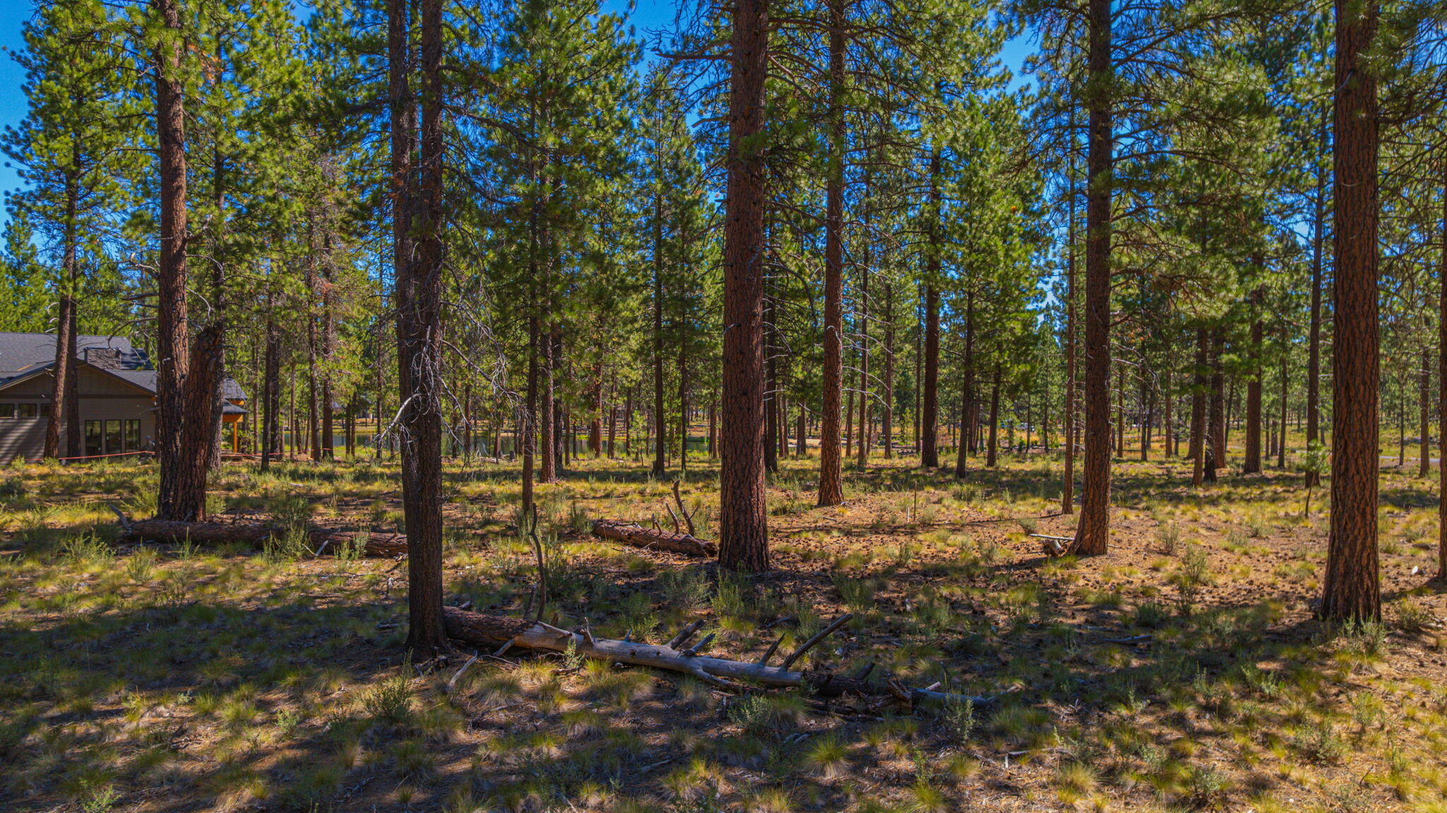 Caldera Springs - Land