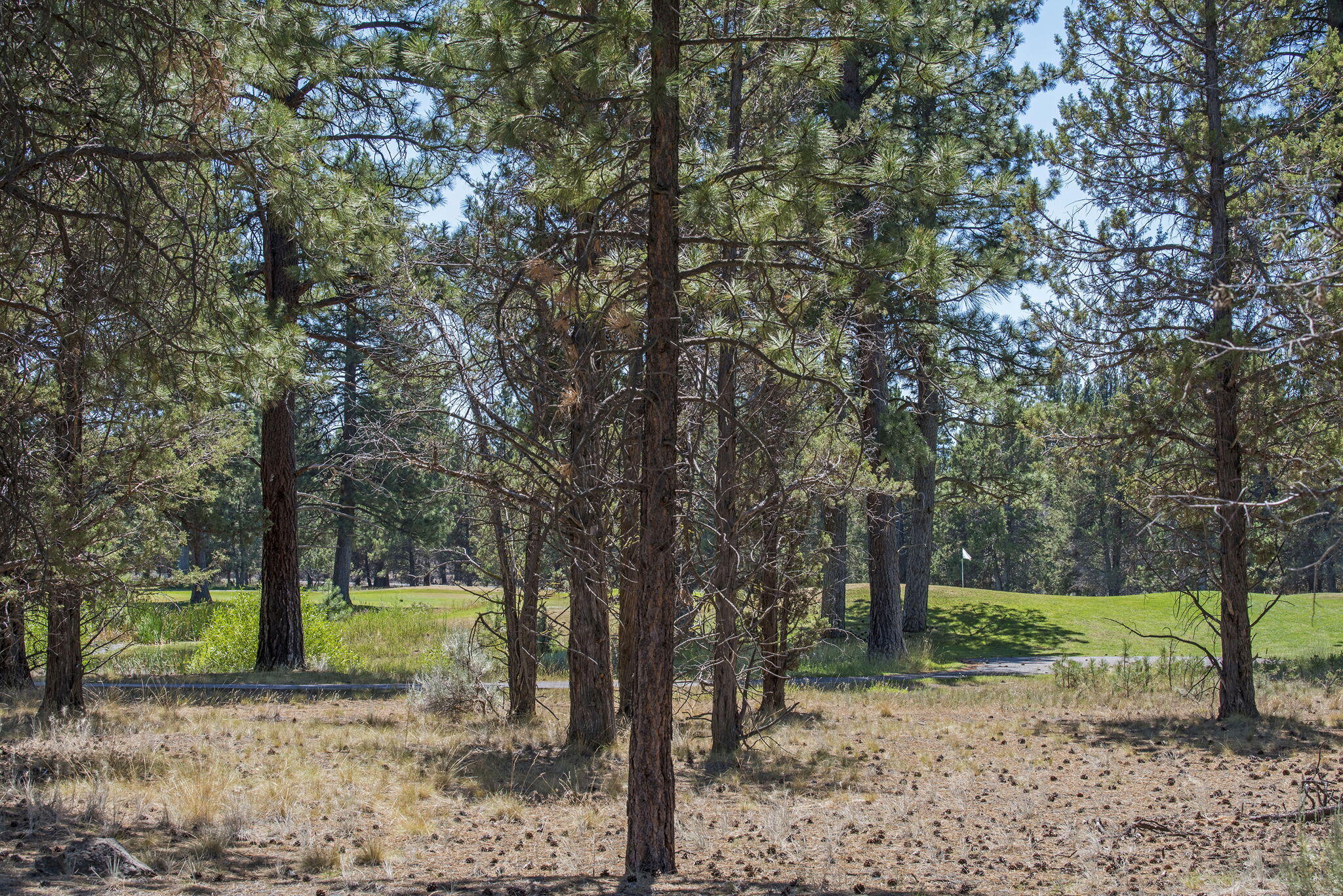 Aspen Lakes Golf Est - Residential