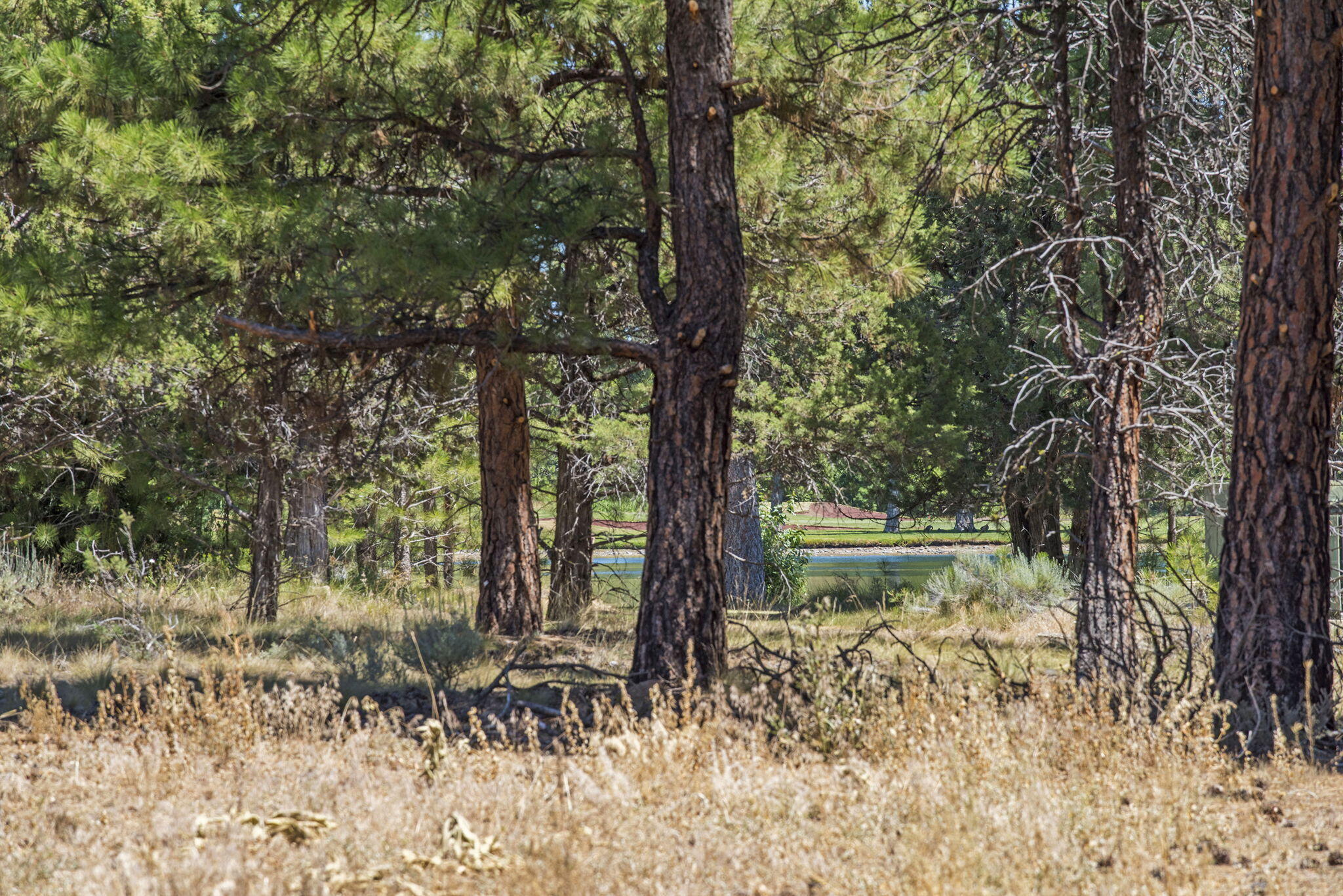 Aspen Lakes Golf Est - Residential