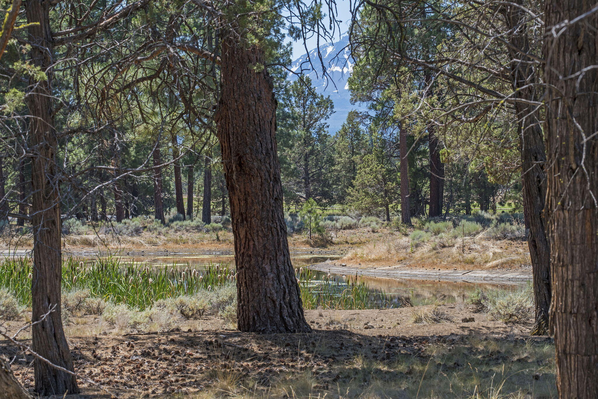 Aspen Lakes Golf Est - Residential