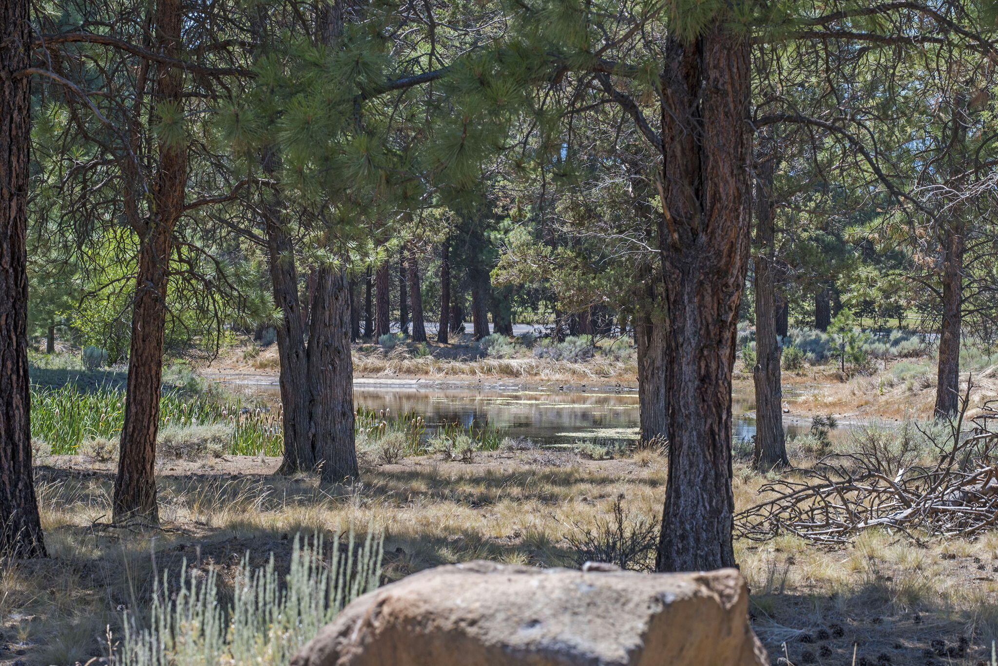 Aspen Lakes Golf Est - Residential