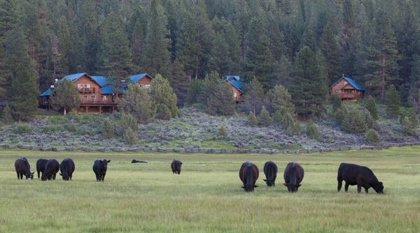 FISHOLE RD, BLY, OR 97622 - Image f83c6ebdcd7ea1d1a03828b6a6d8ea8c/3382758249