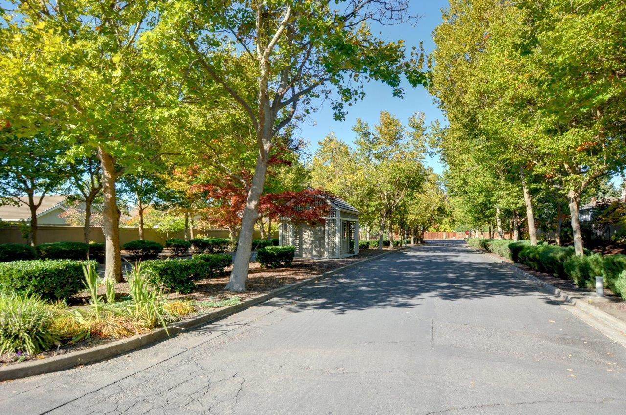 Alder Creek Phase No 3APlanned Community - Residential