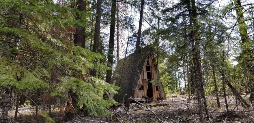 What a great end of the road location in Fox Hollow with a rustic A-Frame shelter!  Nicely treed .34 acre lot zoned R5 backing up to the Fremont-Winema National Forest offering a wide variety of activities such as fishing, hunting, backpacking, hiking, boating, snowmobiling and cross country skiing or just enjoy a scenic drive.  Not far from Rocky Point, Crater Lake Zip Line, Upper Klamath Lake, Fish Lake, Lake of the Woods, Aspen Lake, Aspen Butte, Pelican Butte, Mt. McLoughlin and the Sky Lakes and Mountain Lakes Wilderness Areas.  The Odessa Market with a gas station is conveniently located on Hwy 140.  Approximately 25 miles to Klamath Falls and 50 miles to Medford.   Buyer to conduct their own due diligence as to the suitability for Buyers intended use.  This could be the lot you're looking for!
