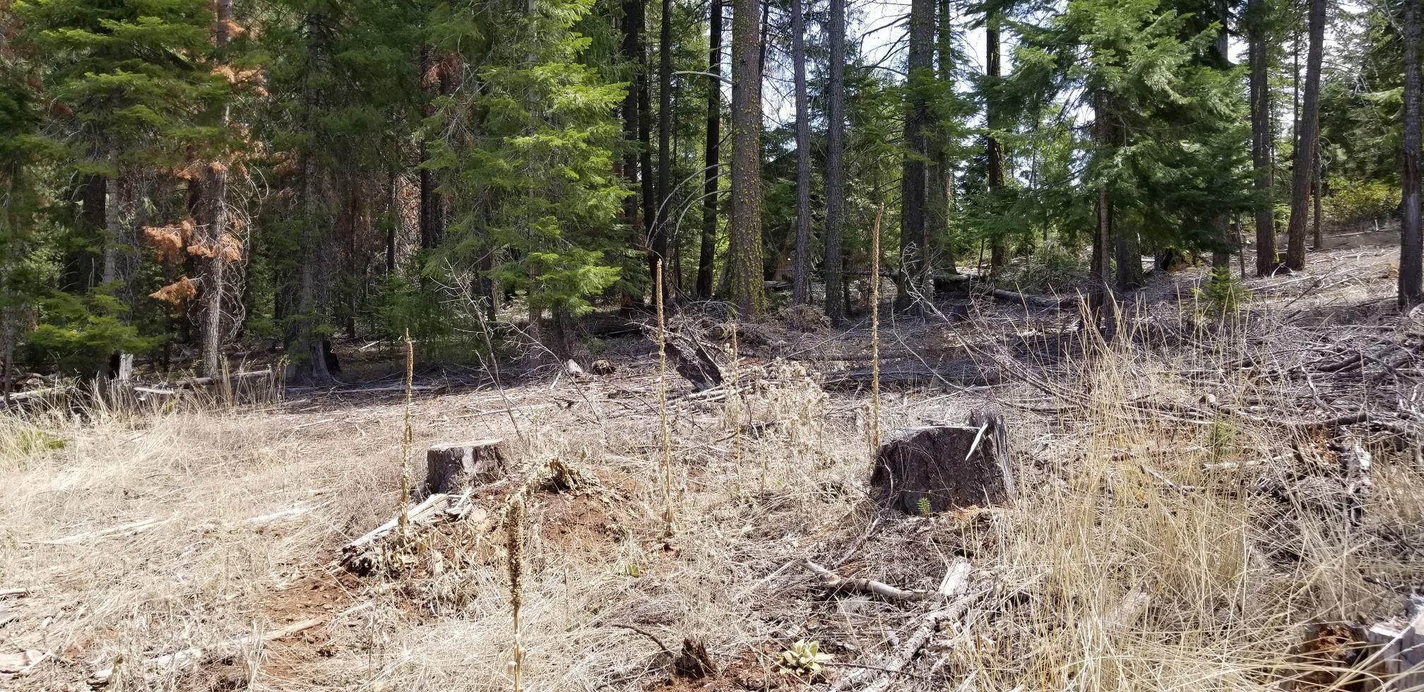 Fox Hollow - Land