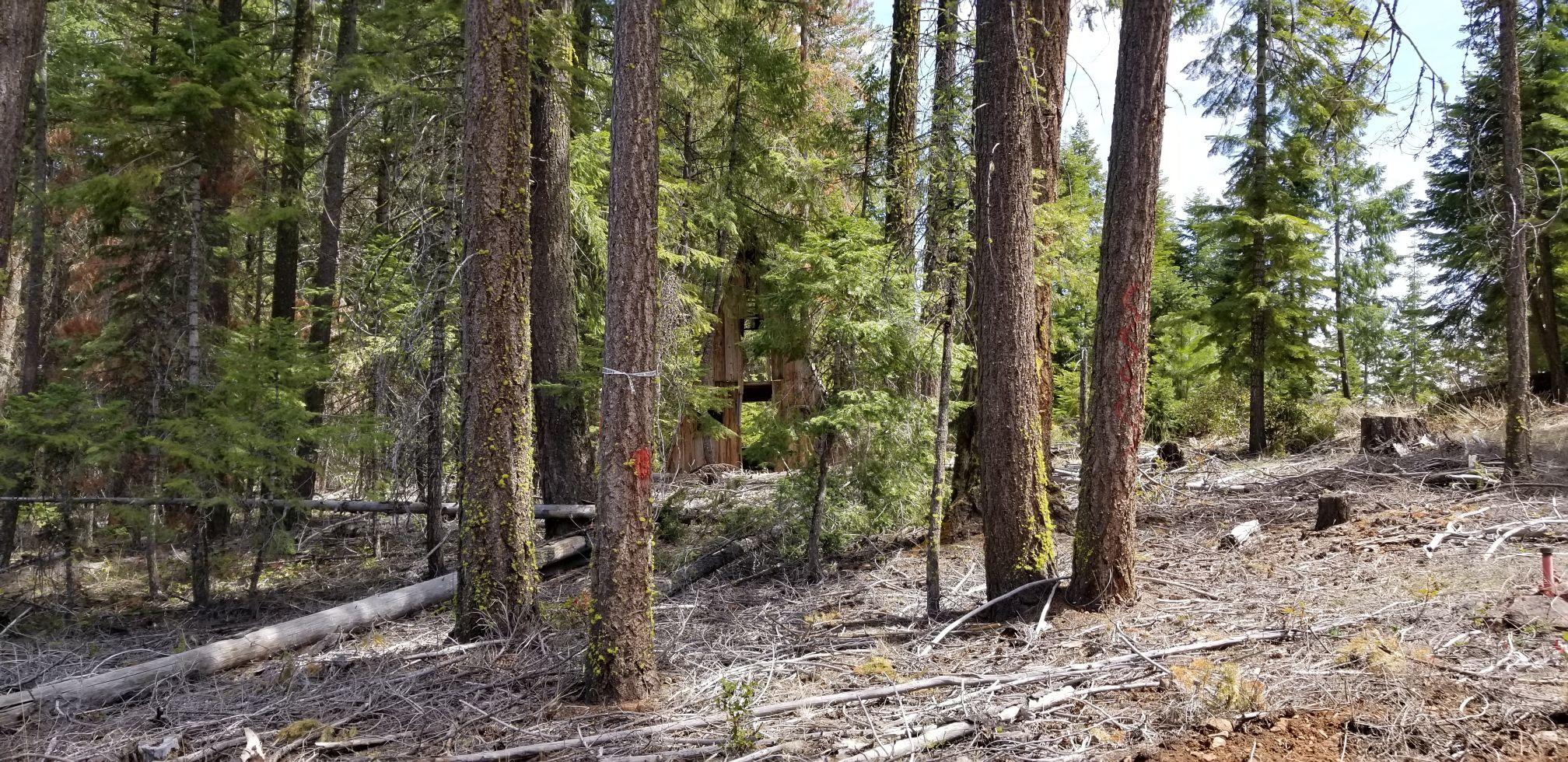 Fox Hollow - Land