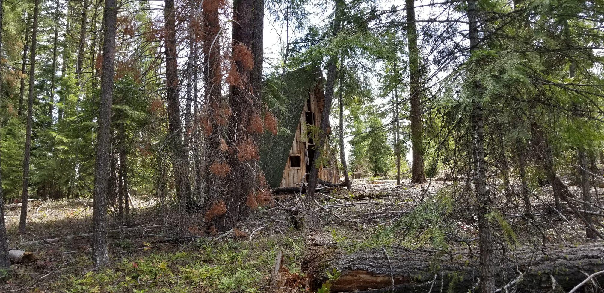 Fox Hollow - Land