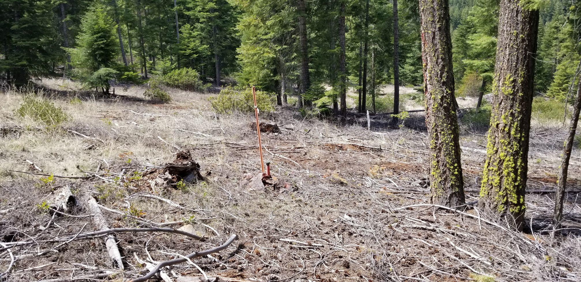 Fox Hollow - Land