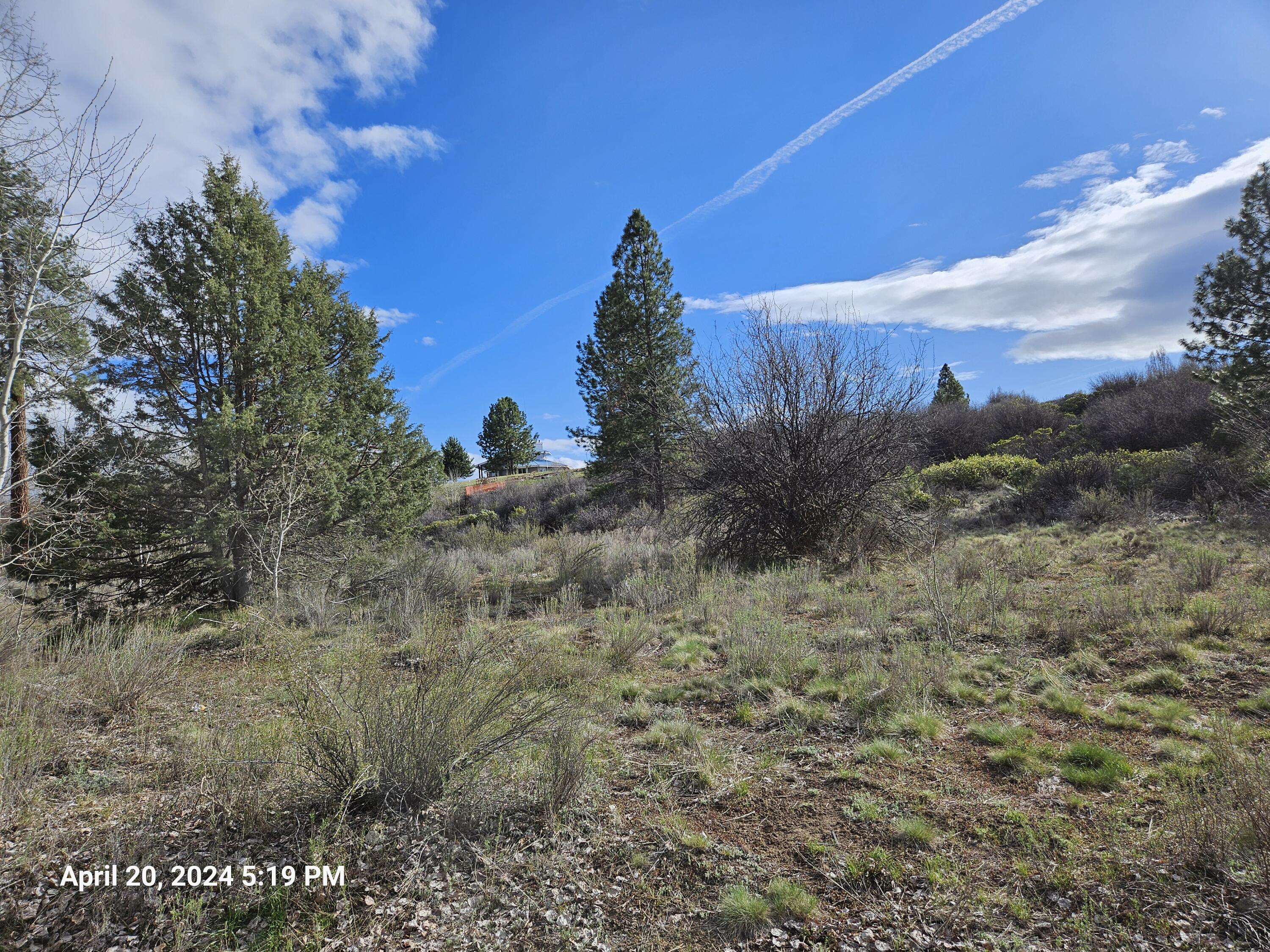 Oregon Shores - Land