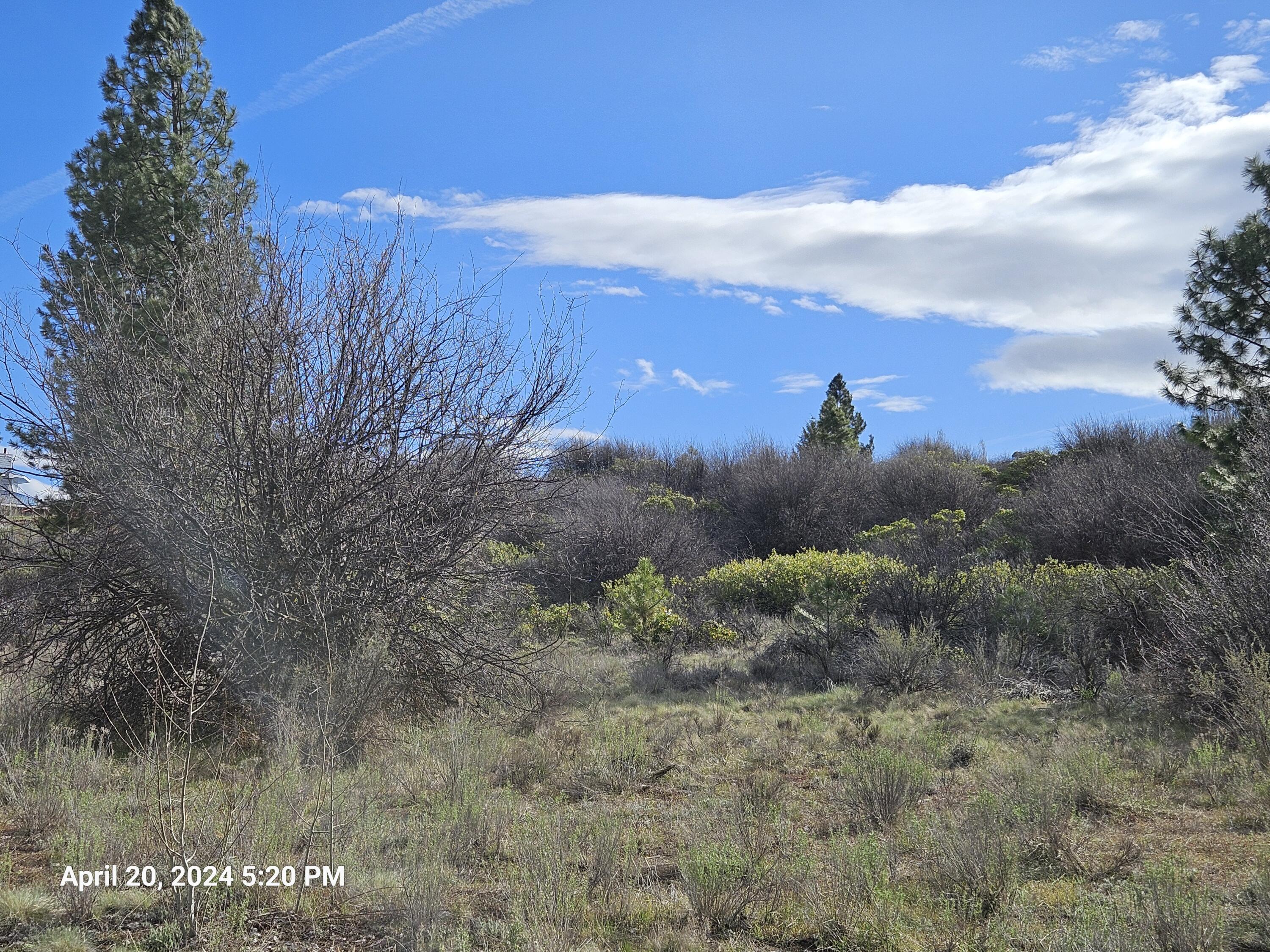 Oregon Shores - Land