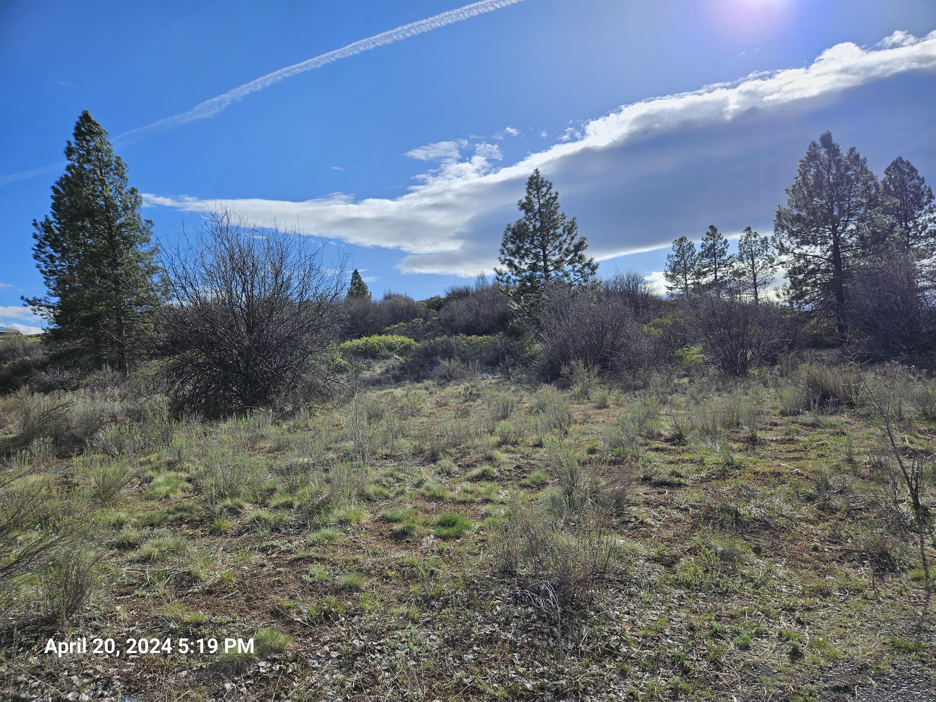 Oregon Shores - Land
