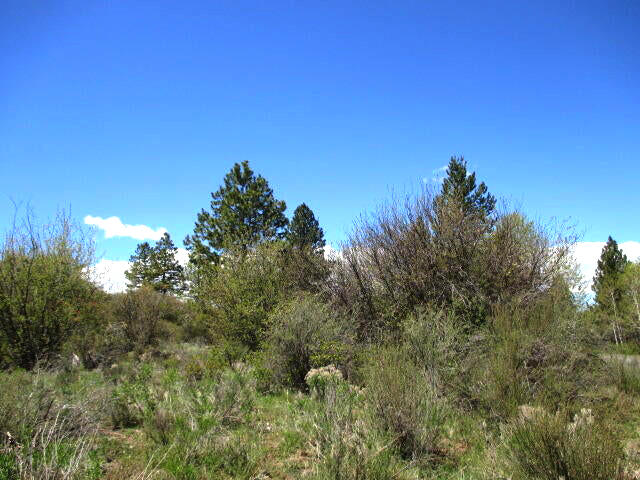 Oregon Shores - Land