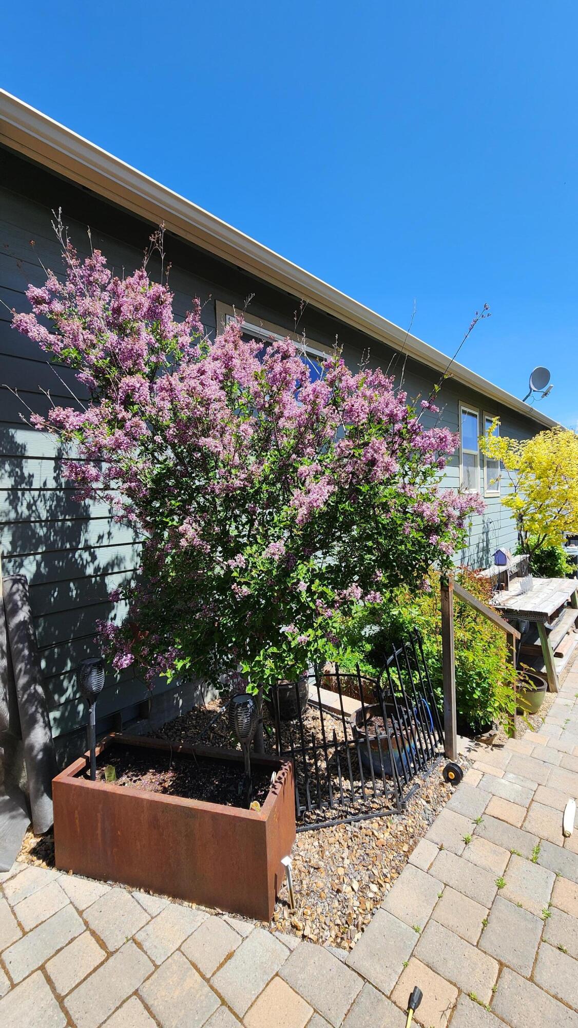 Golden Horseshoe - Residential