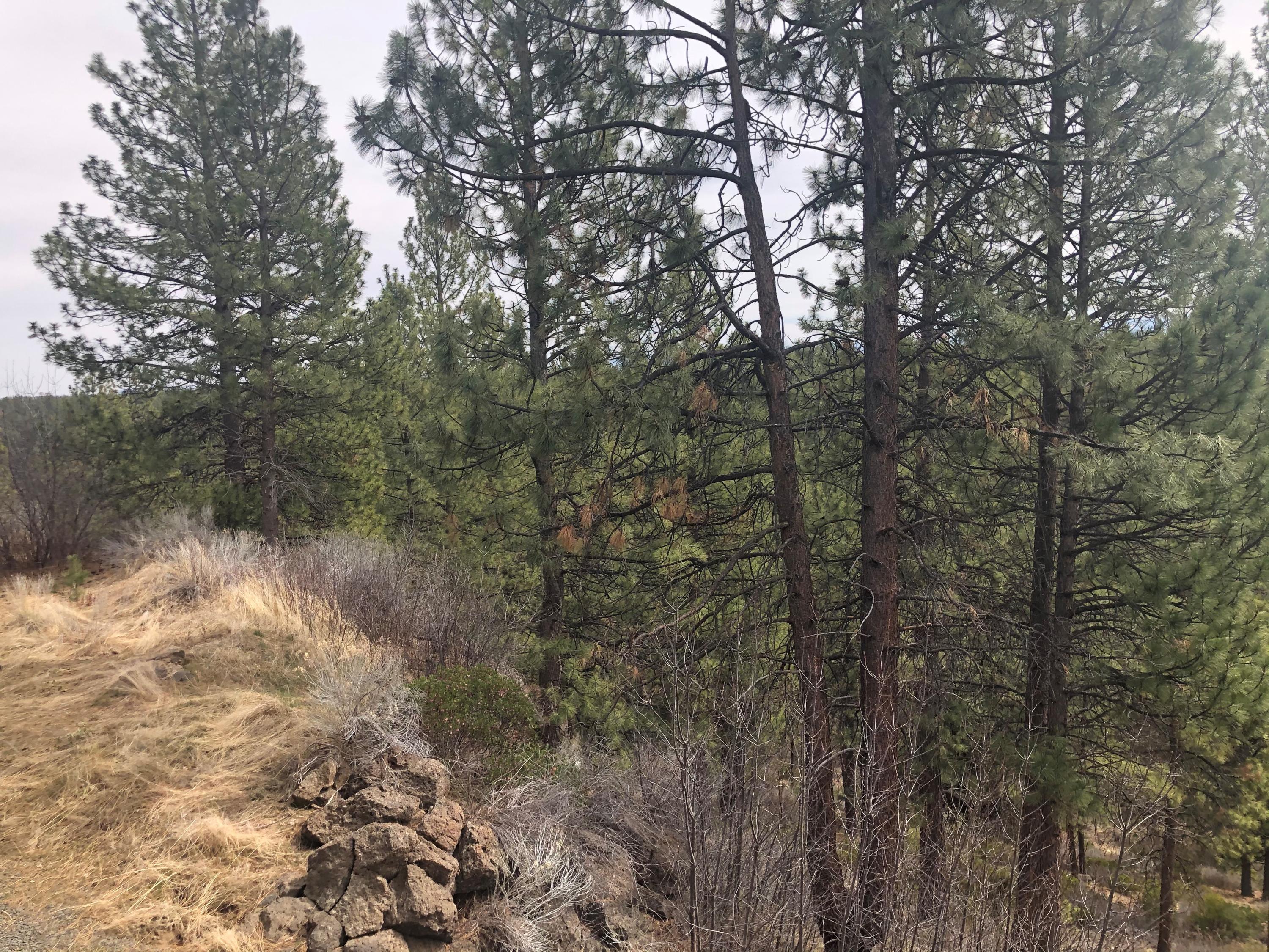 Inn Of The 7th - Residential