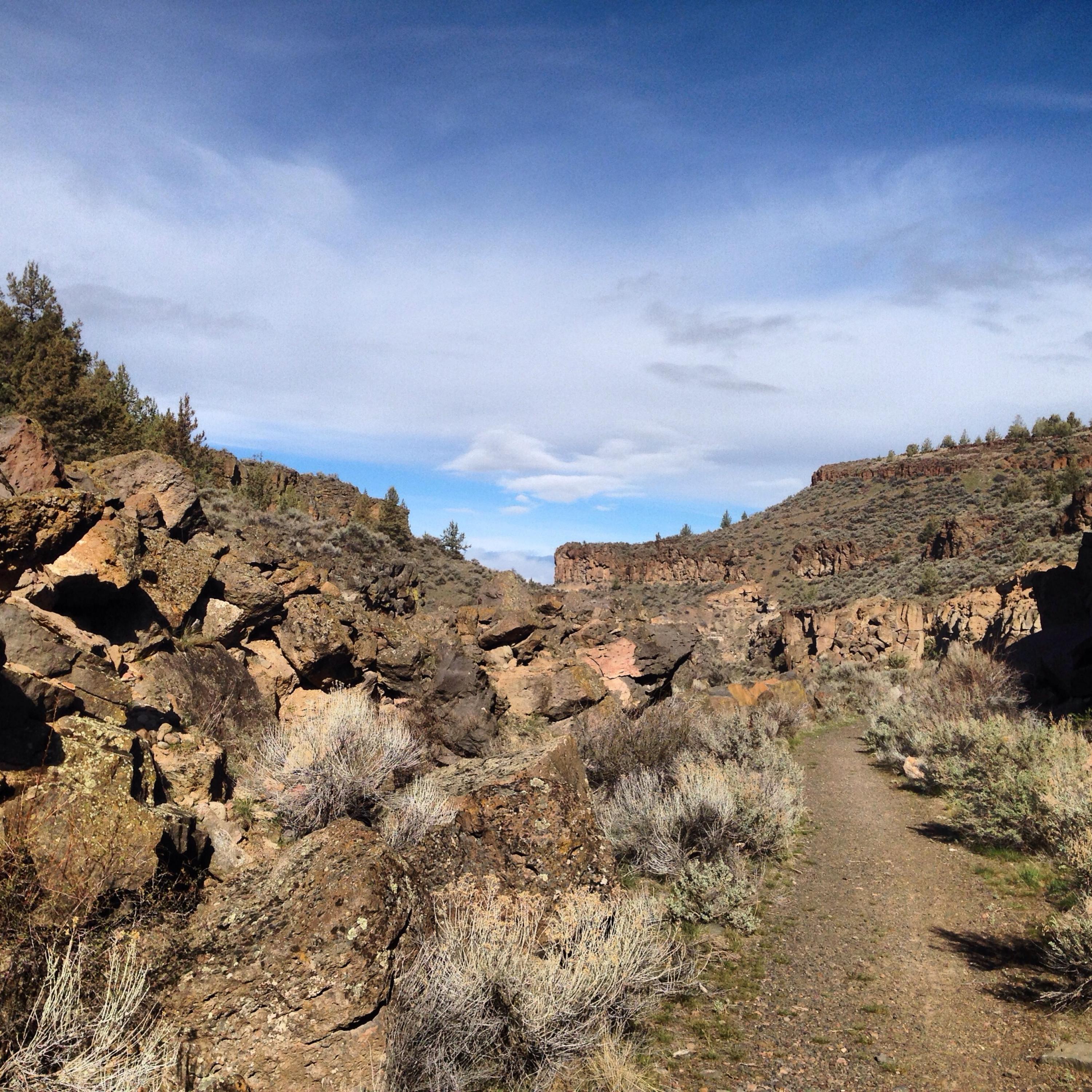 Willowbrook - Residential