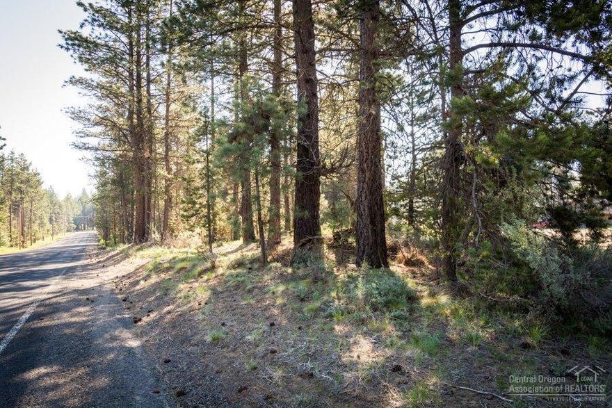 .34 acre of vacant land with paved access all the way to the lot. Septic and well are in. Nice tranquil setting on pie shaped lot. HOA includes club house, picnic area, basketball and river access with boat ramp with paid HOA dues. Minutes from Sunriver. Come see what Central Oregon is all about!
