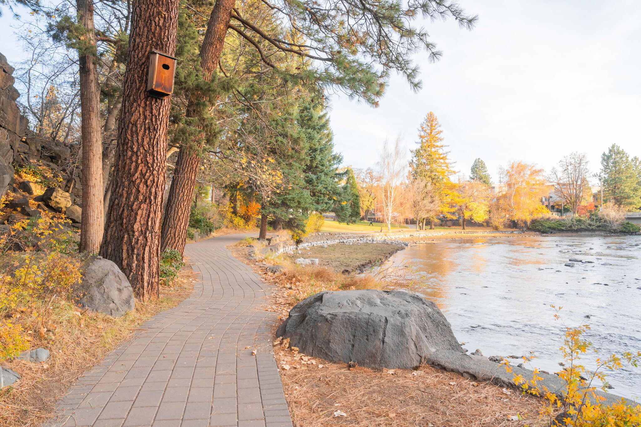 Pioneer Park Condominium - Residential