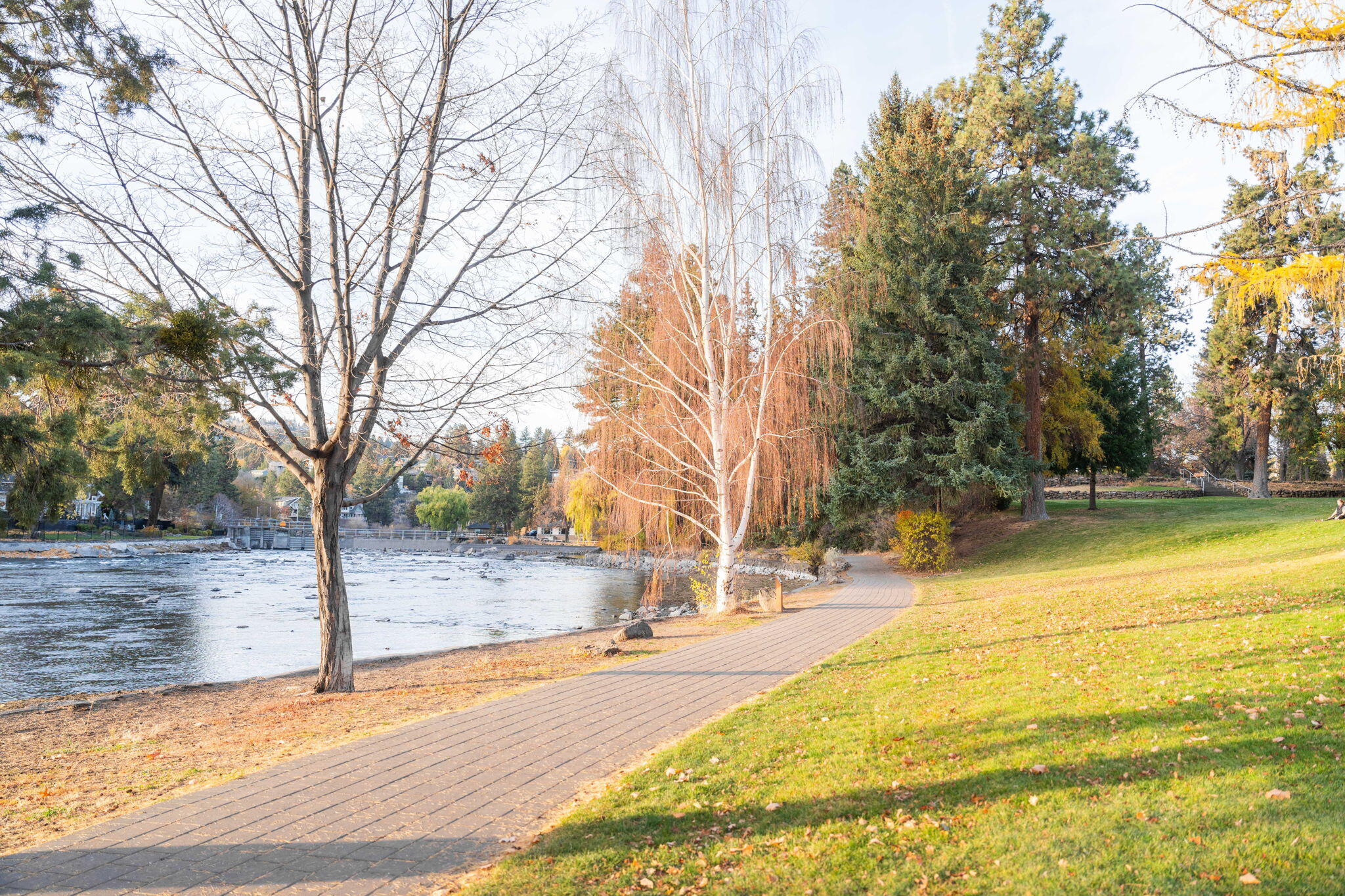 Pioneer Park Condominium - Residential