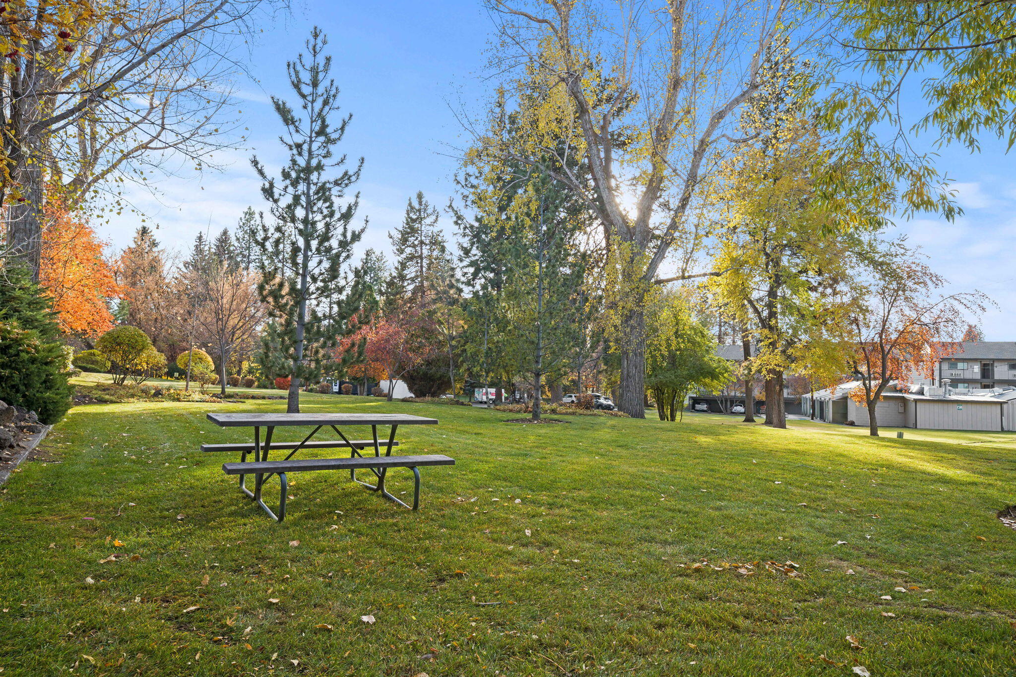 Pioneer Park Condominium - Residential