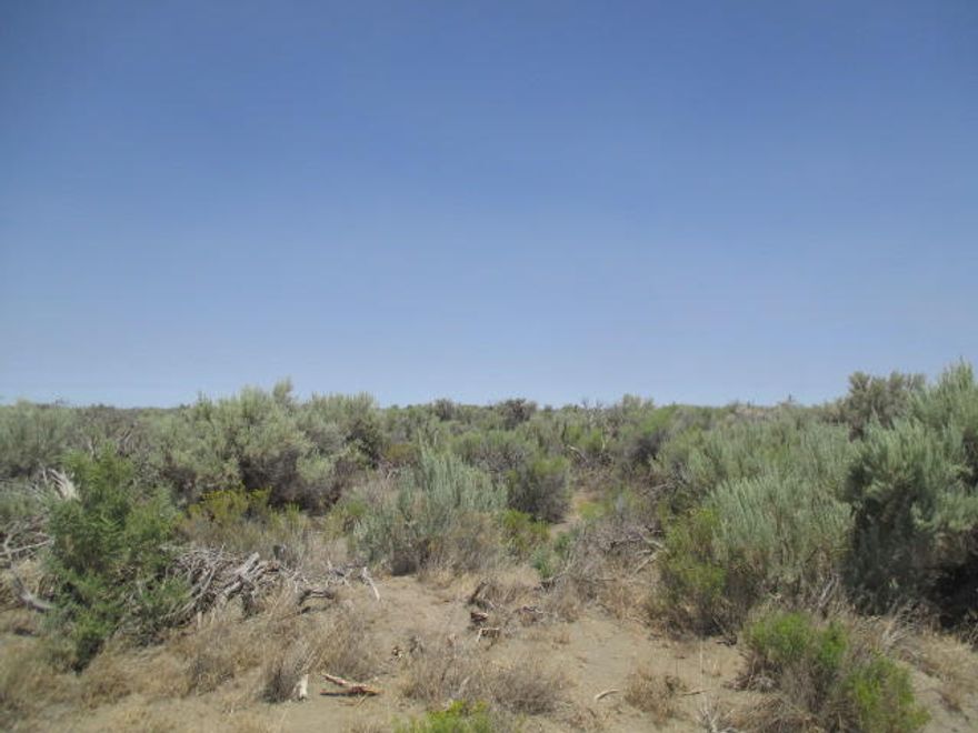 Here are two parcels of land that are 20 acres each, being sold together for a total of 40 acres for you to bring your ideas to and make your own. So they  can be divided. CUP likely required to build. Could be a nice place for your hobby farm or just to get away.  Not far out of Christmas Valley when you can run in and grab your supplies , eat at one of the local restaurants, gas up at the station, pick up supples at the hardware store or feed for you animals and more. Enjoy the morning sunrise and the beautiful sunsets of the high desert.  Buyer to do their due diligence.