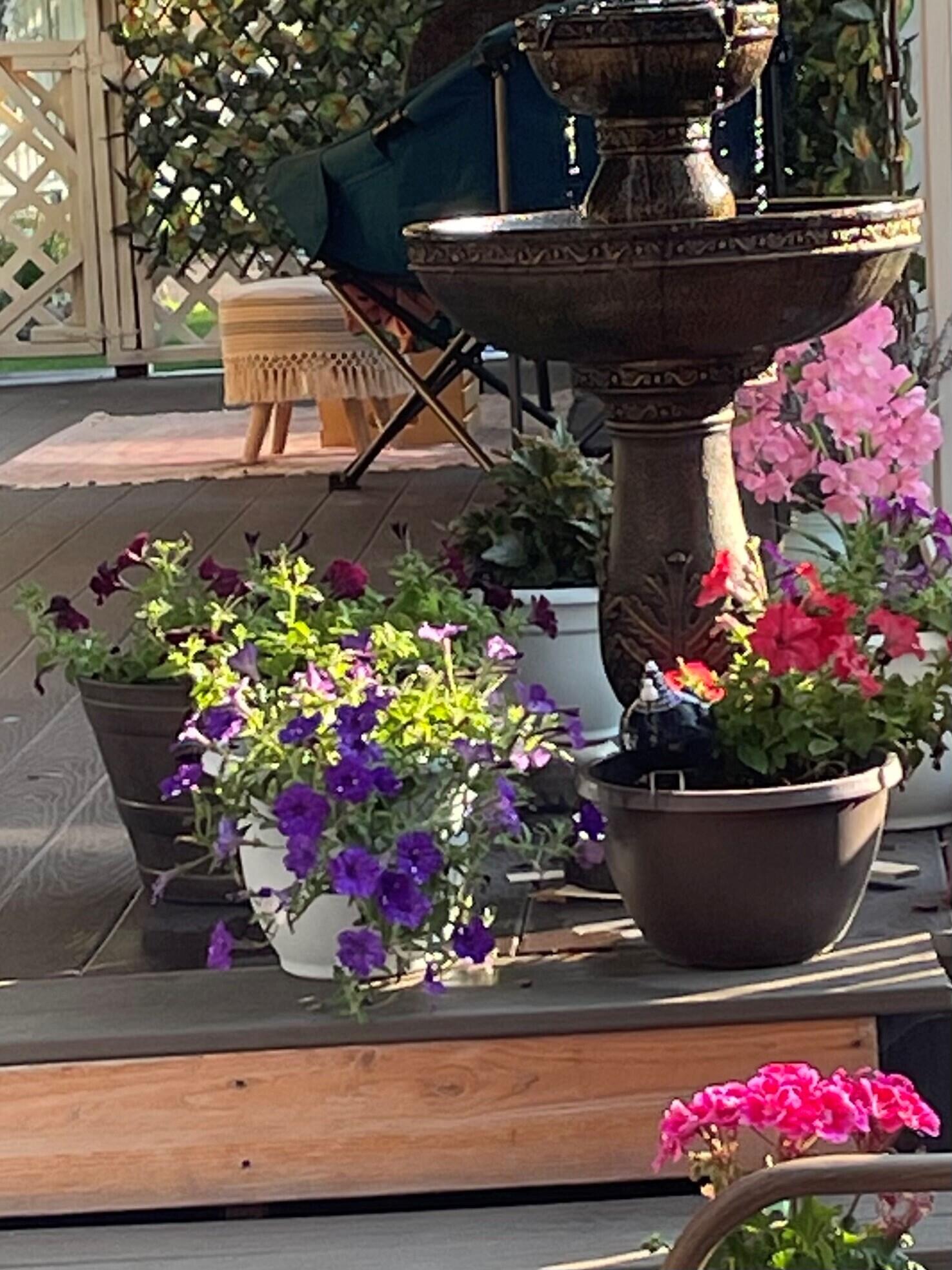 Country Sunset - Residential