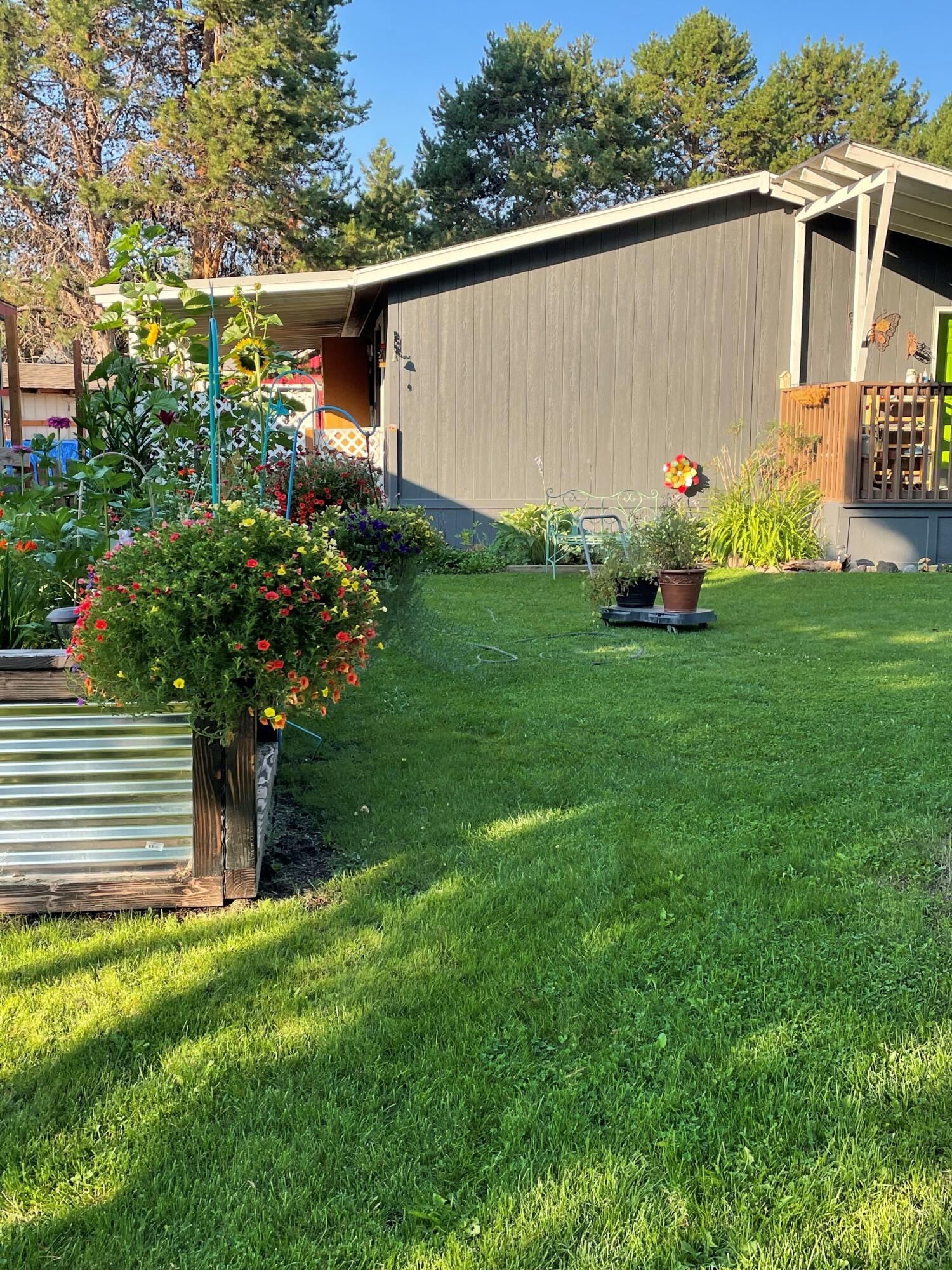 Country Sunset - Residential