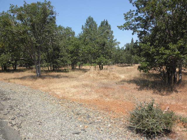 Laurel Heights - Land