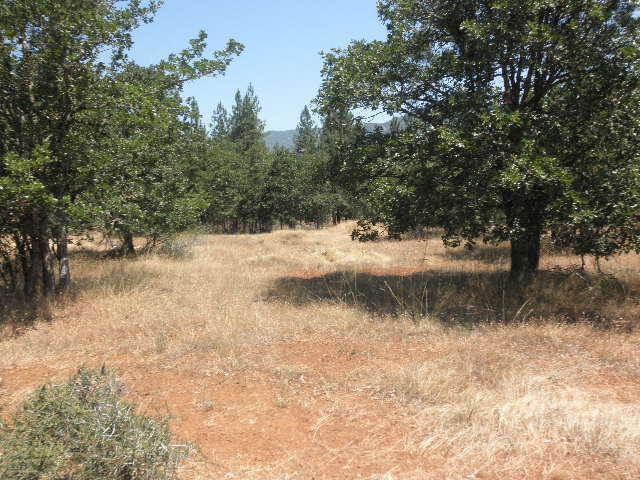 Laurel Heights - Land