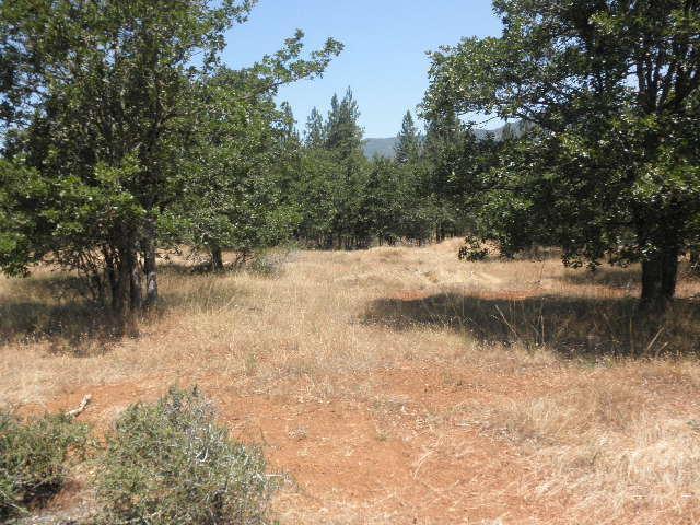 Laurel Heights - Land