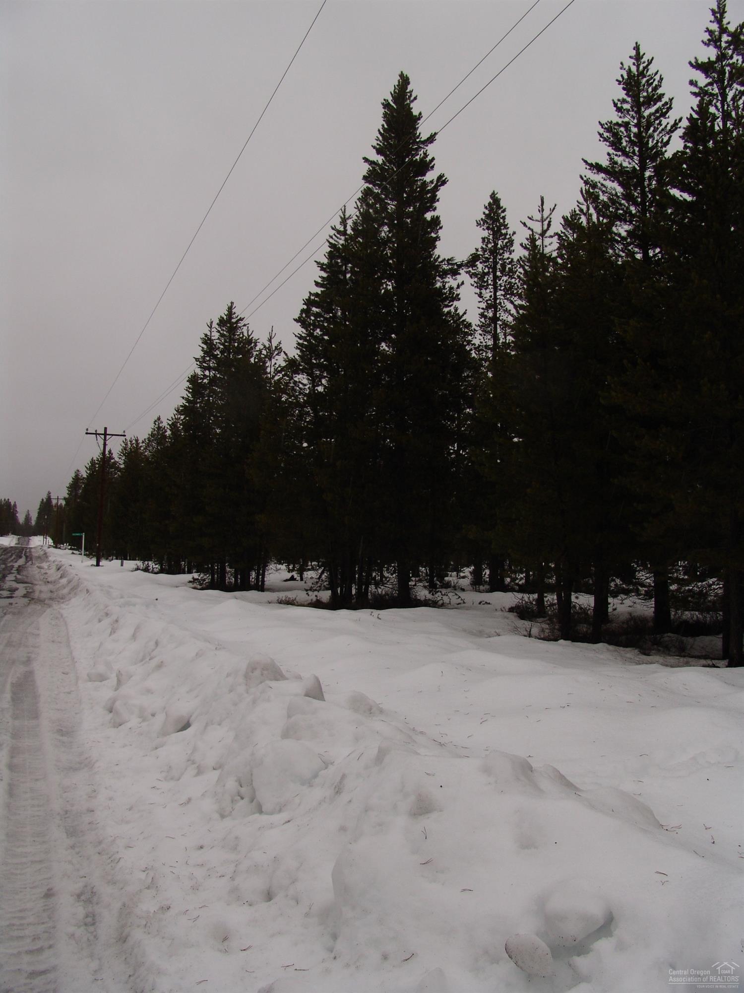 Sun Forest Estates - Land