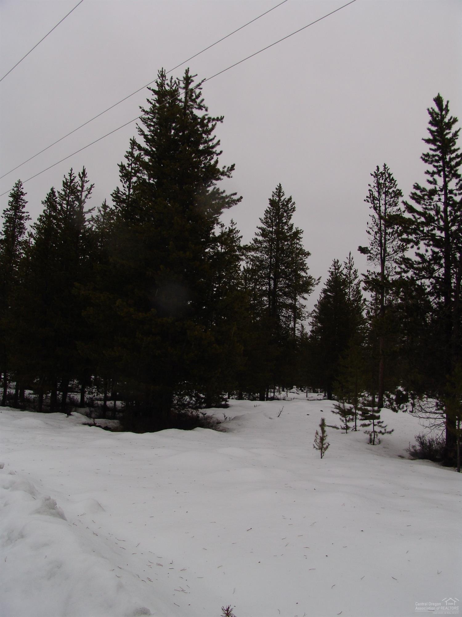 Sun Forest Estates - Land