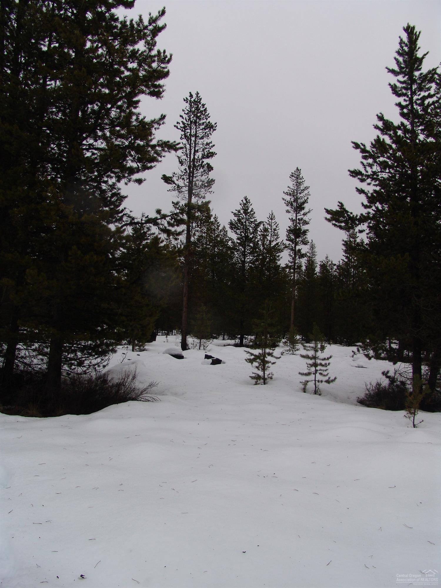 Sun Forest Estates - Land