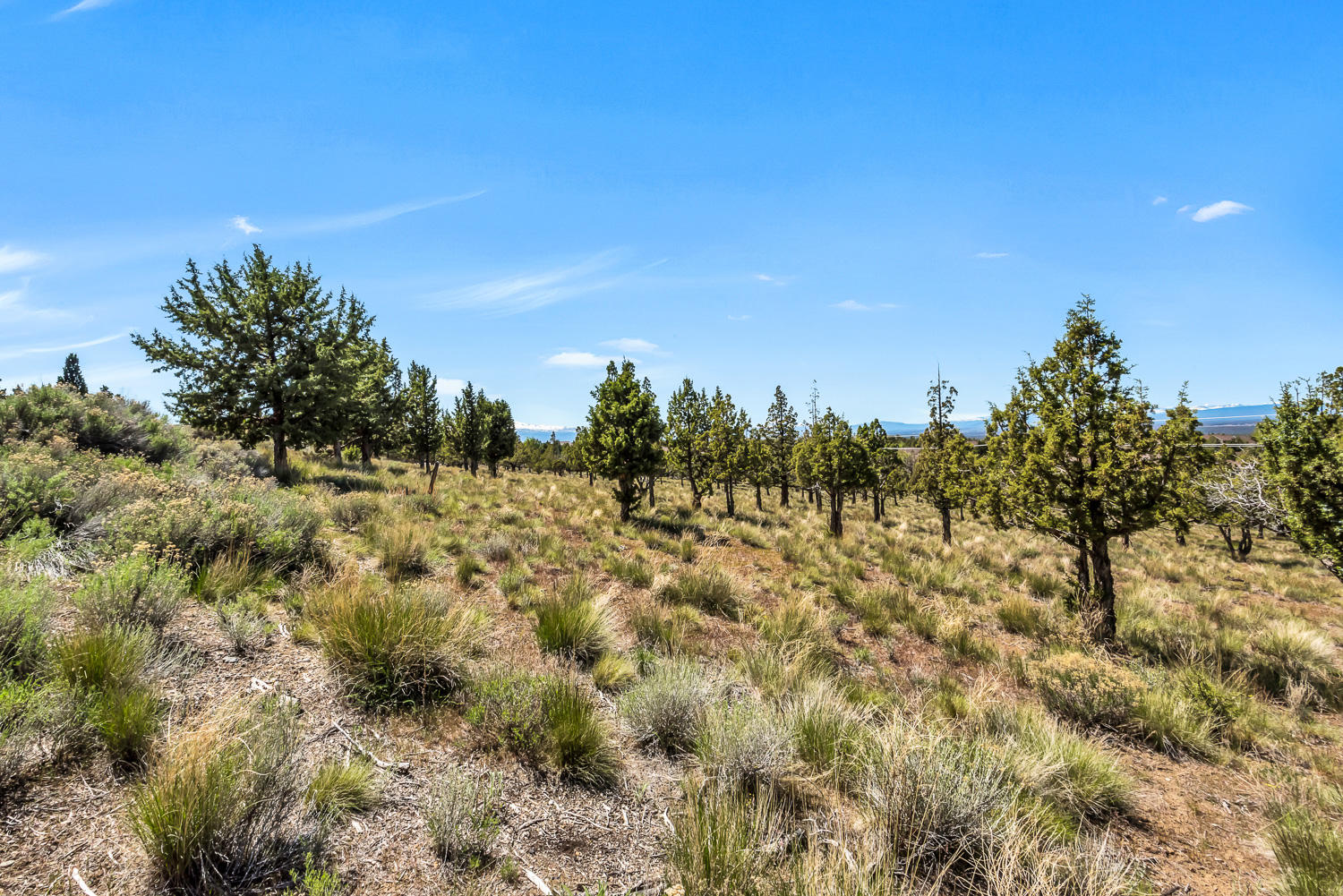 Eagle Crest - Land