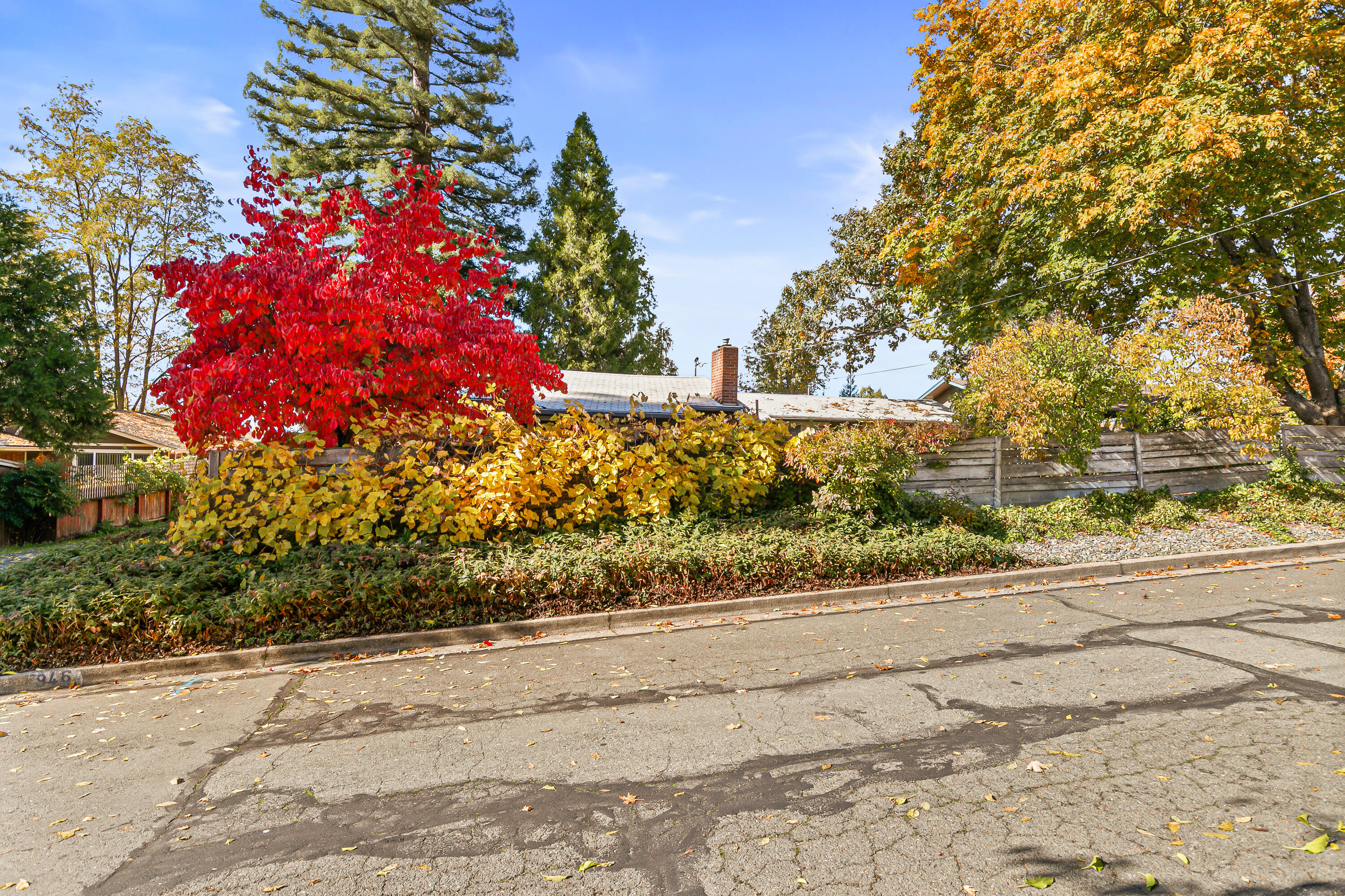 Nelson's - Residential