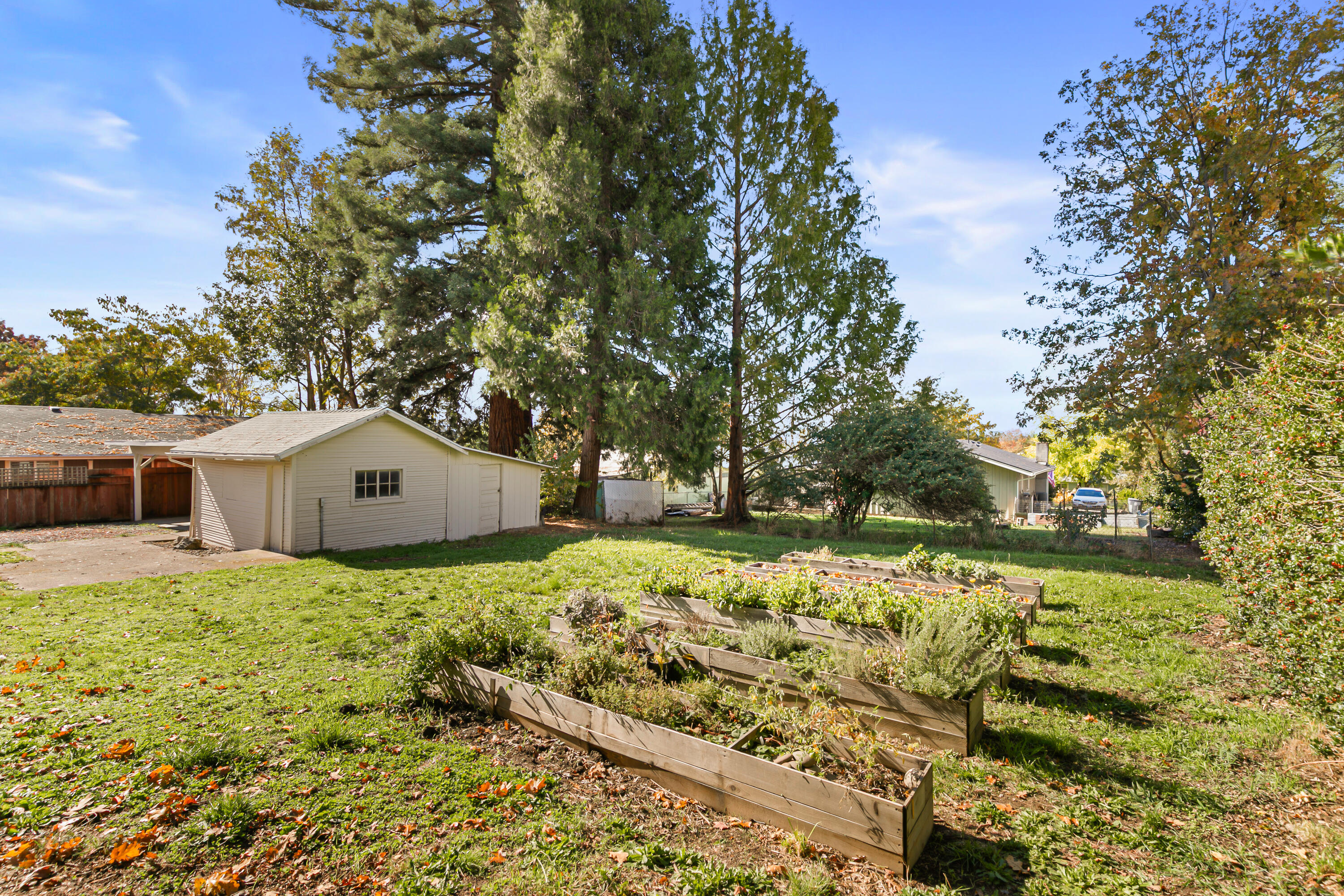 Nelson's - Residential