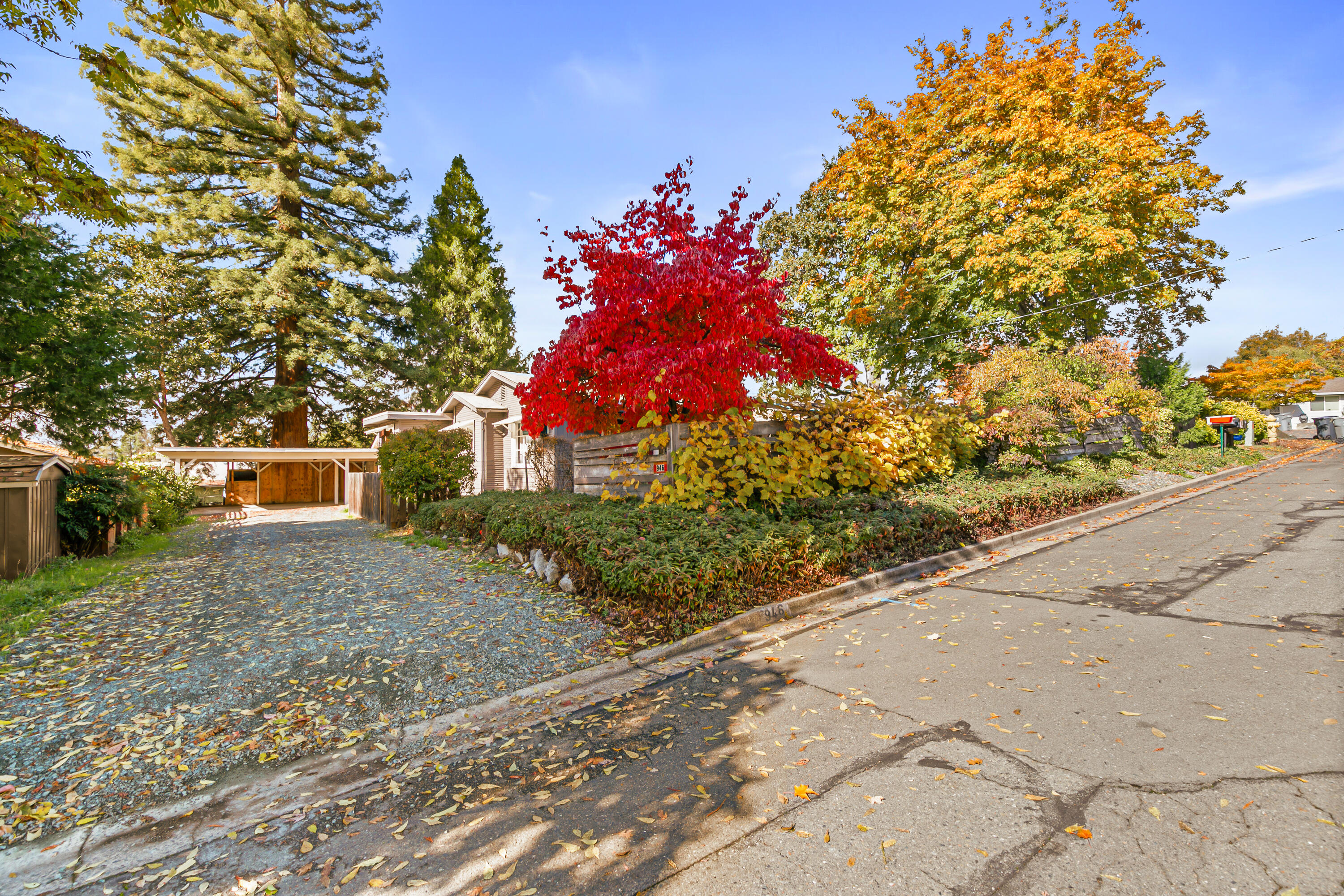 Nelson's - Residential