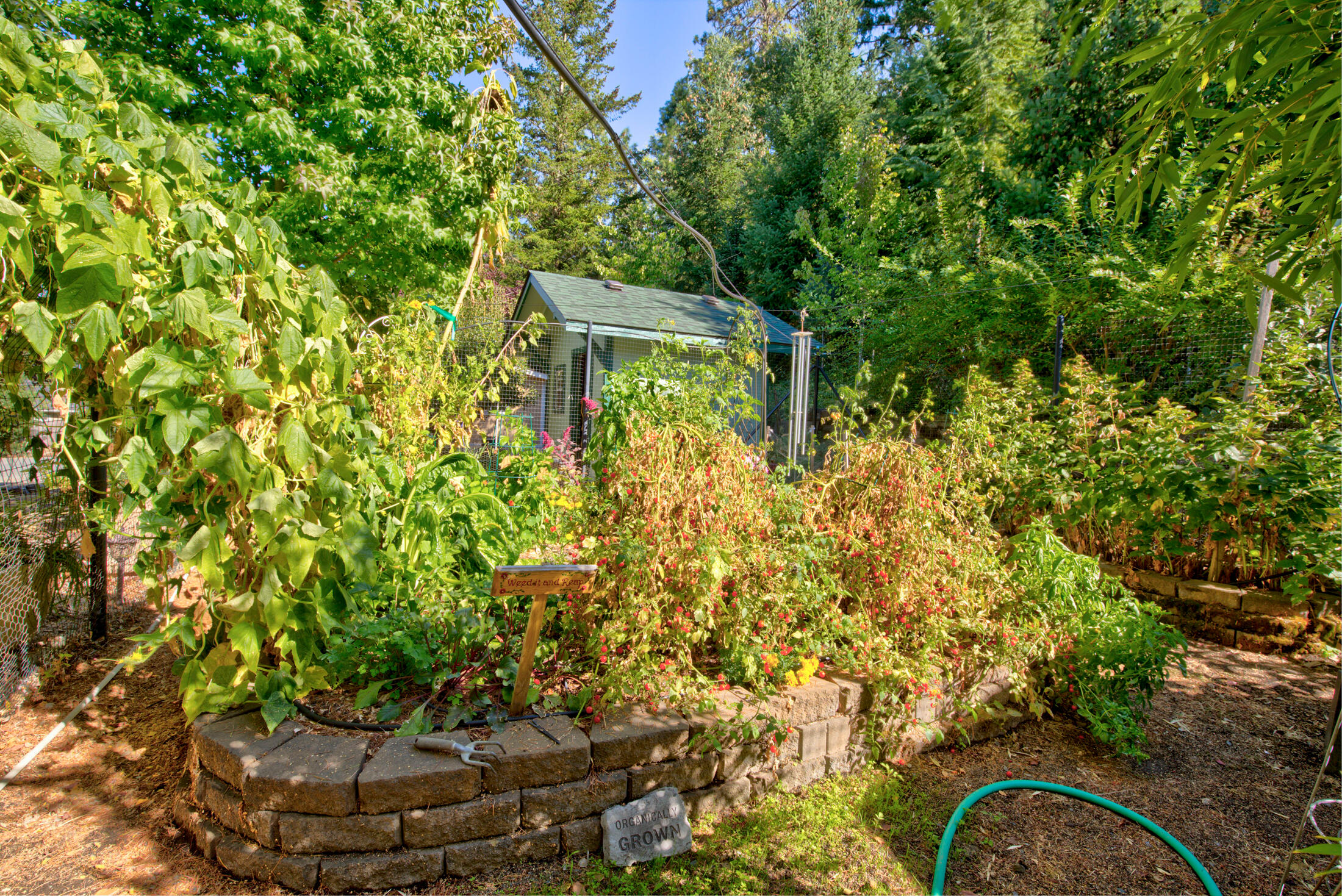 Gaffney Heights Subdivision - Residential