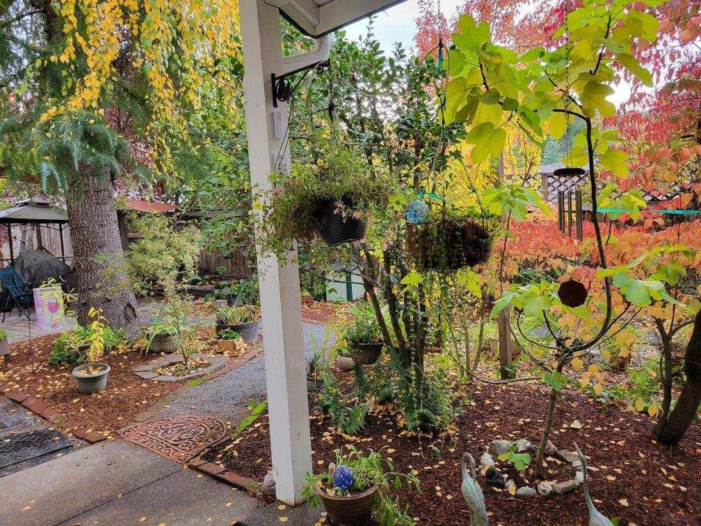 Gaffney Heights Subdivision - Residential