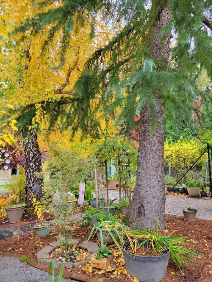 Gaffney Heights Subdivision - Residential