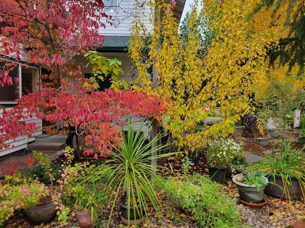 Gaffney Heights Subdivision - Residential